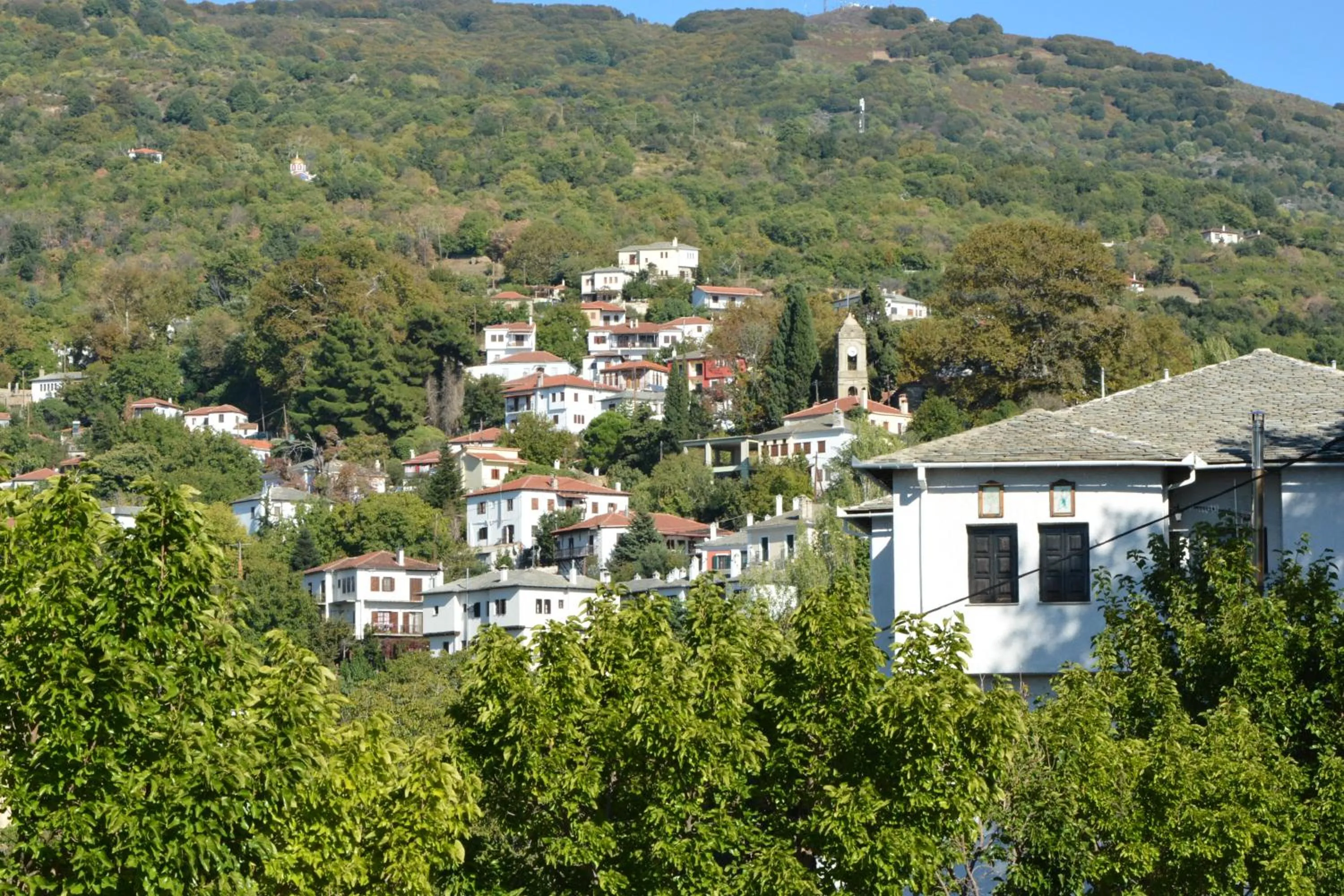 Palladio Hotel - Portaria