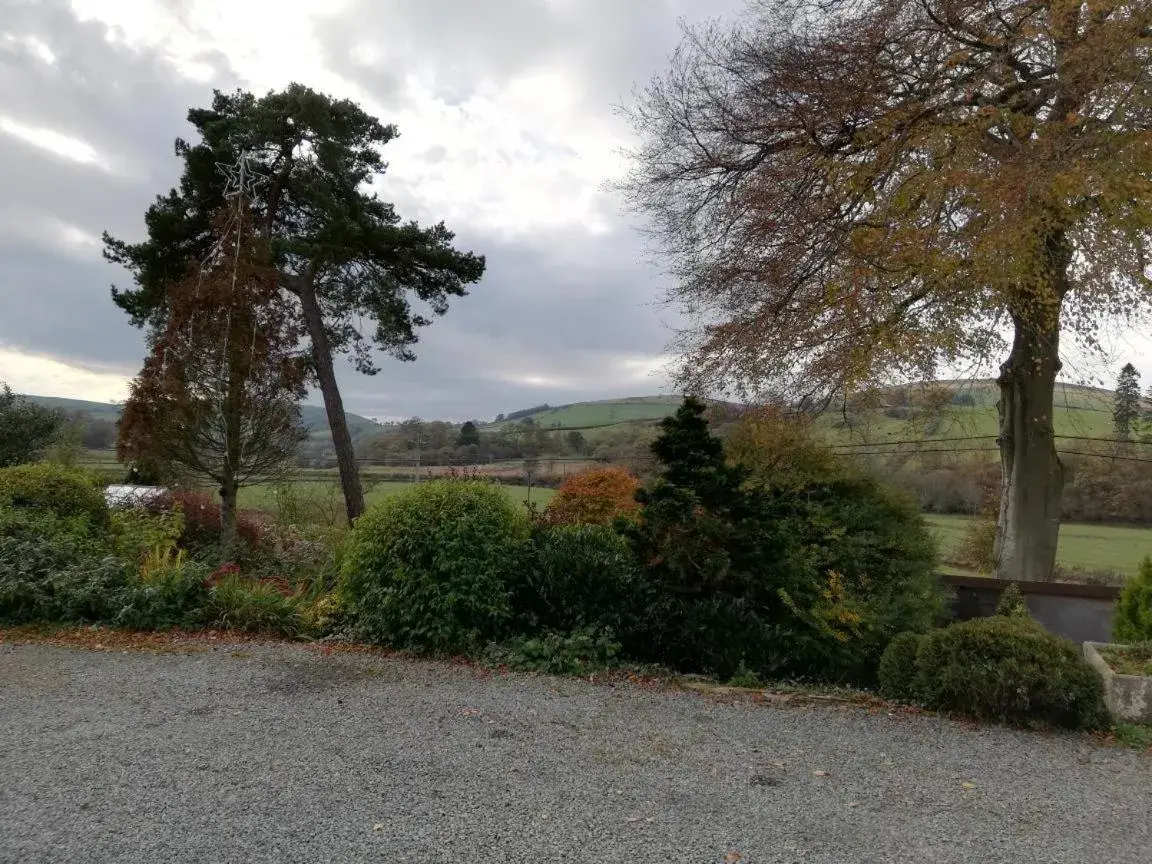 Twin Room with Shower - single occupancy in Lion Hotel Twin Room with Shower - single occupancy in Lion Hotel