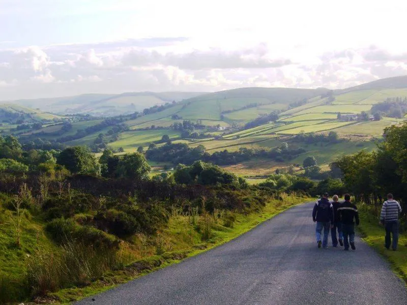 View (from property/room) in Lion Hotel