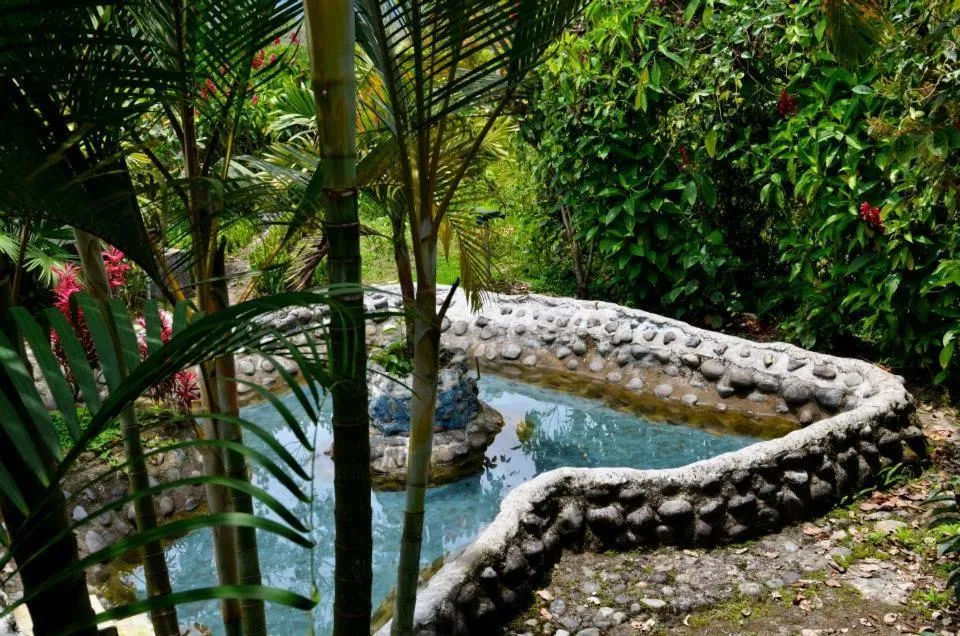 Garden in Hostería Arasari