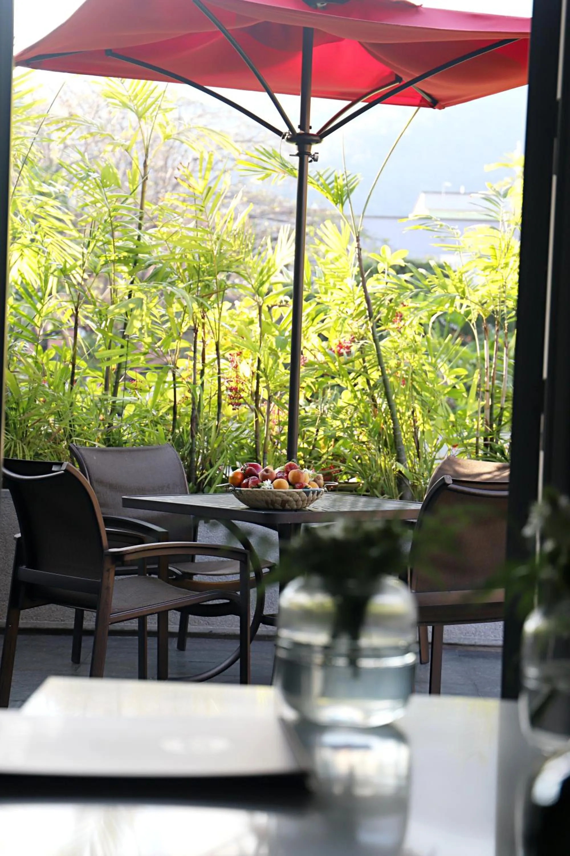 Balcony/Terrace in Hotel Cayena Caracas a LHW
