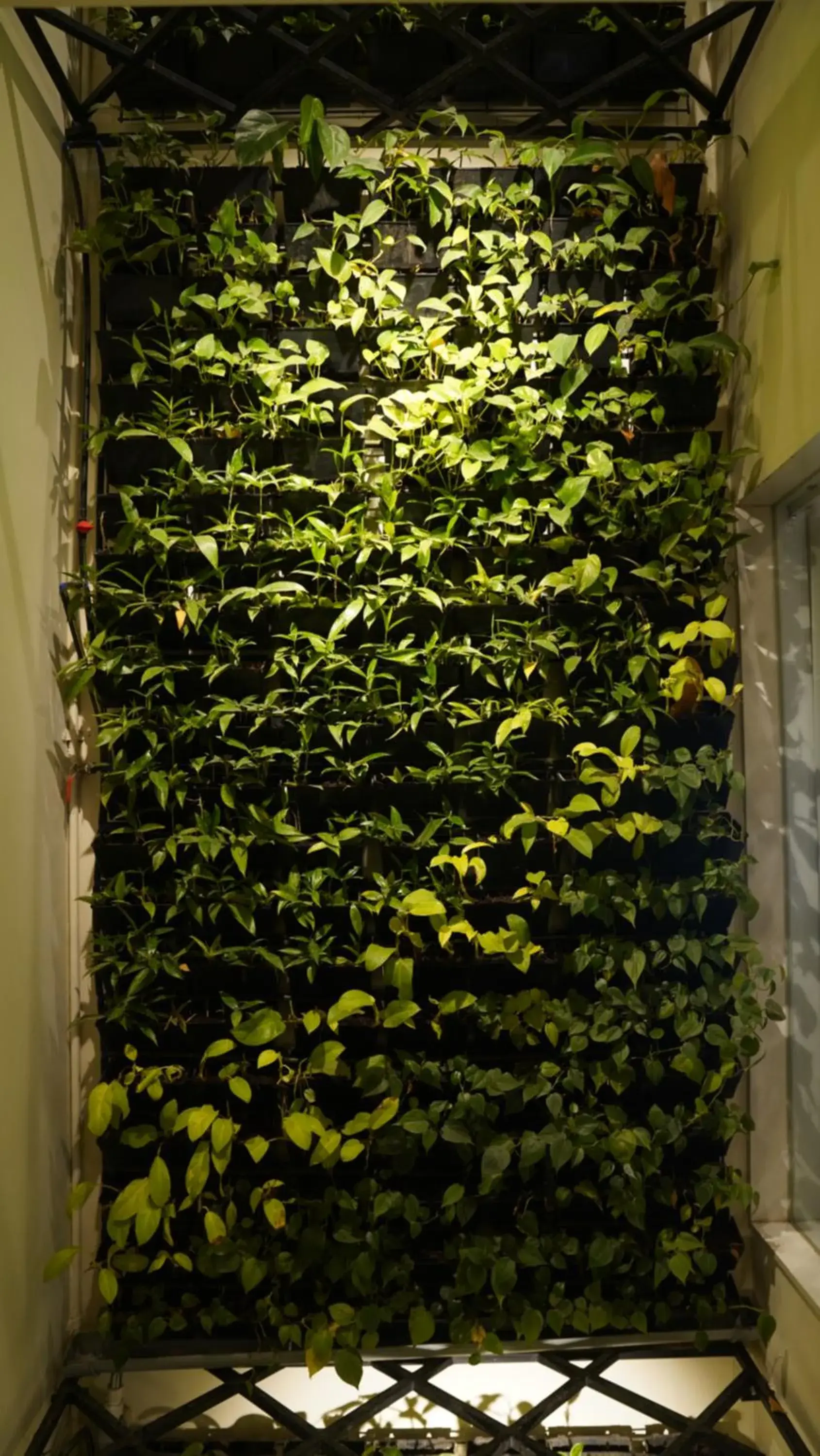 Property building in De Glance Hotel, Near Surat Railway Station Property building in De Glance Hotel, Near Surat Railway Station