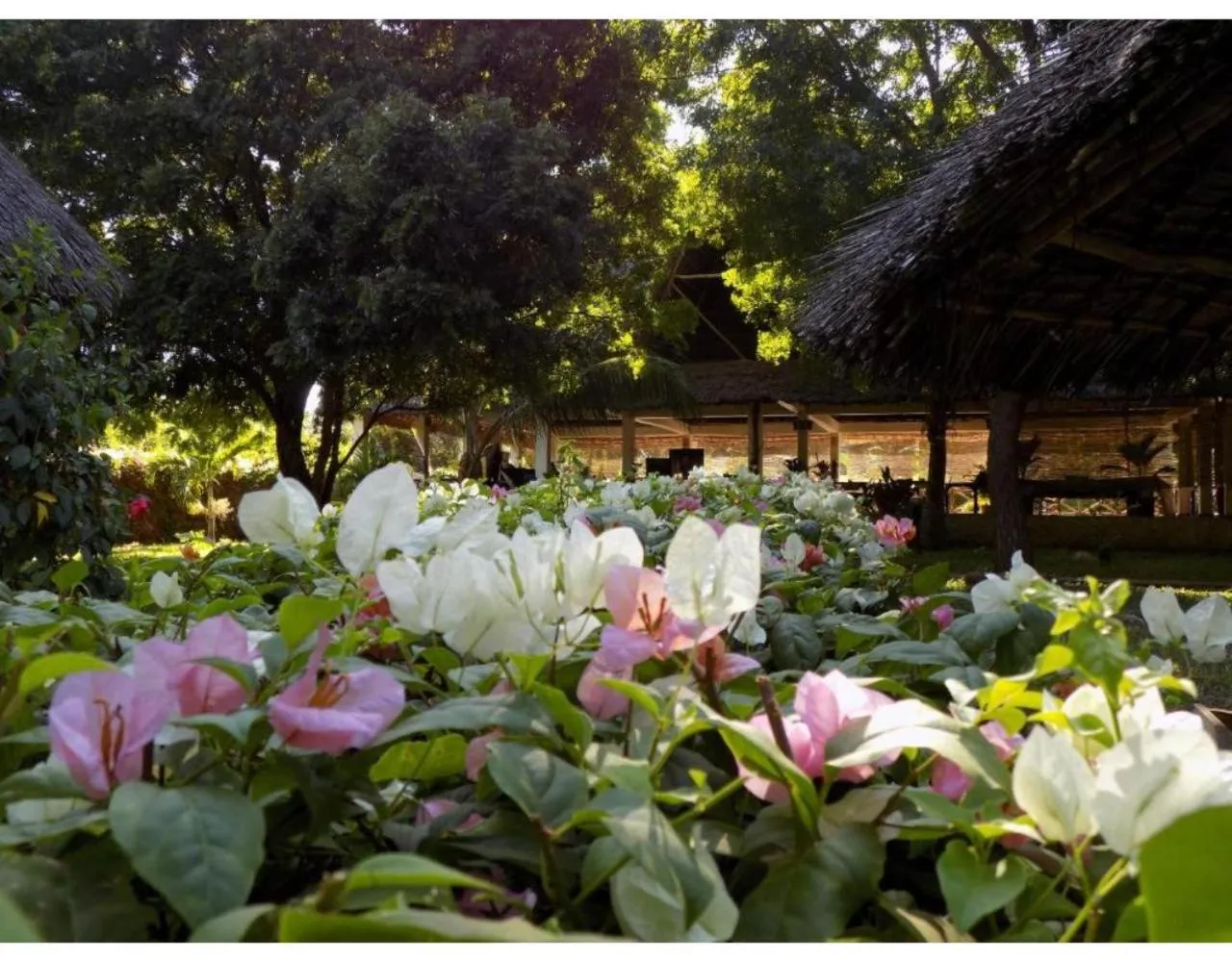 Decorative detail in Watamu Eco Villas