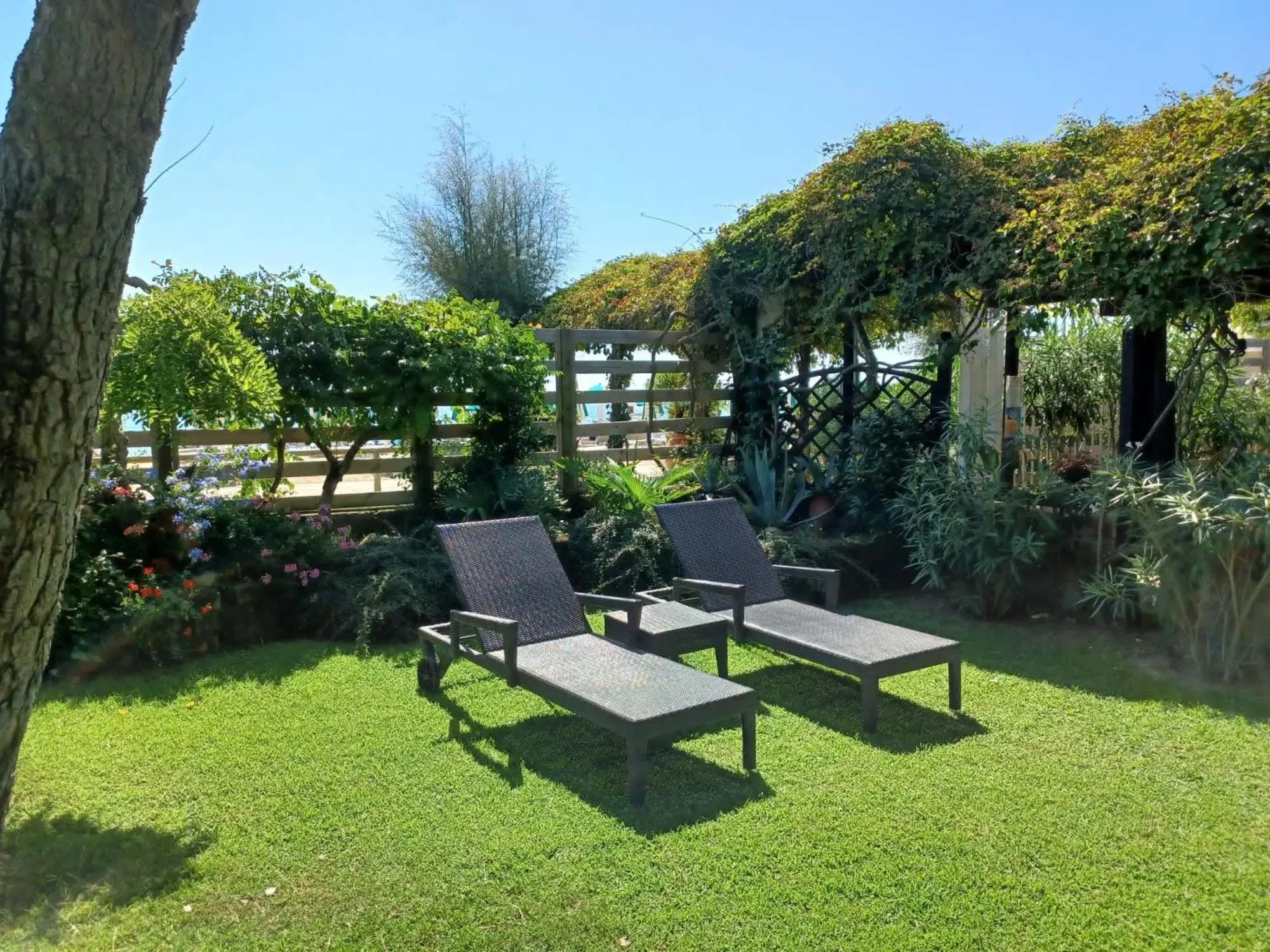 Garden in Hotel Viña del Mar Pineta