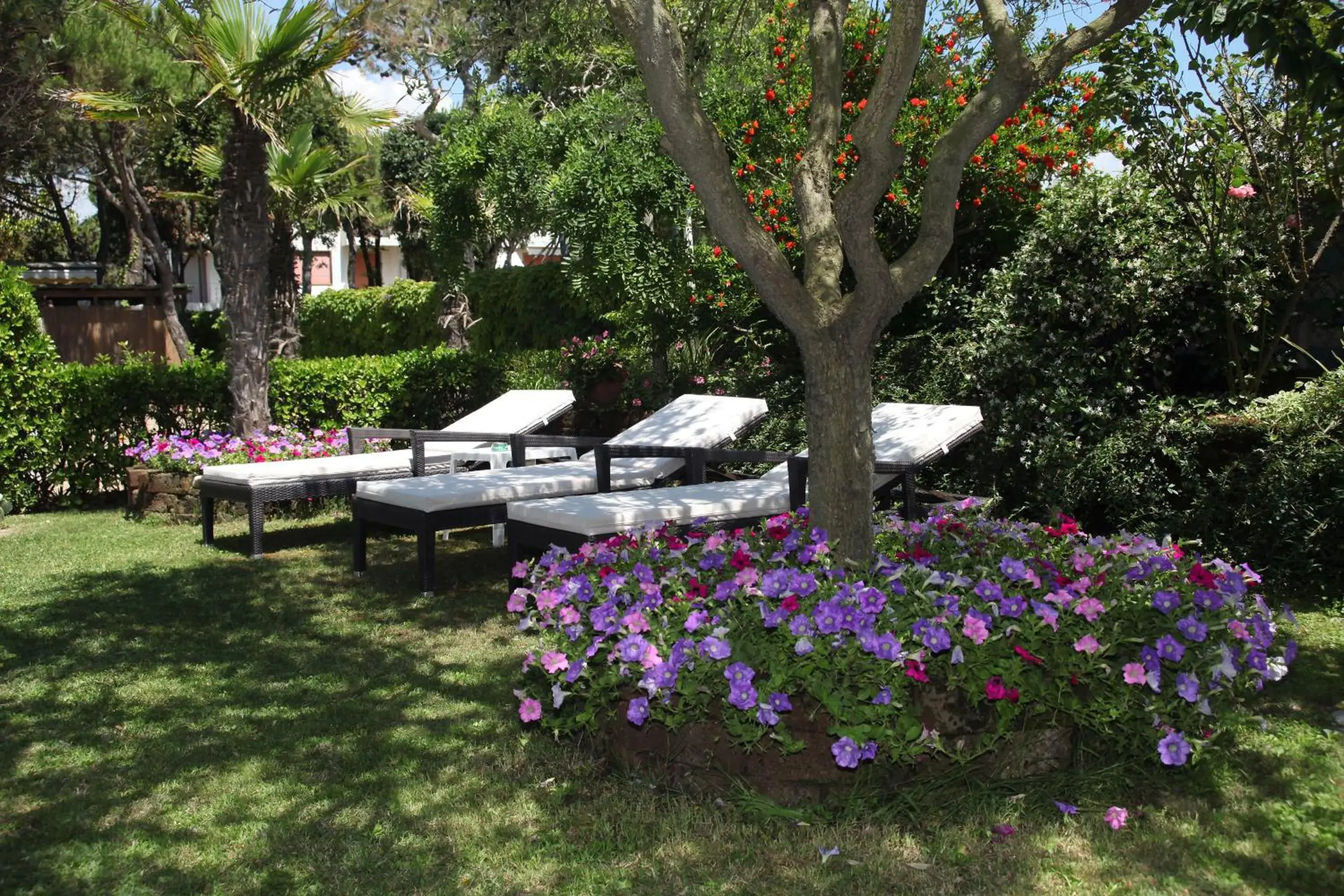 Garden in Hotel Viña del Mar Pineta