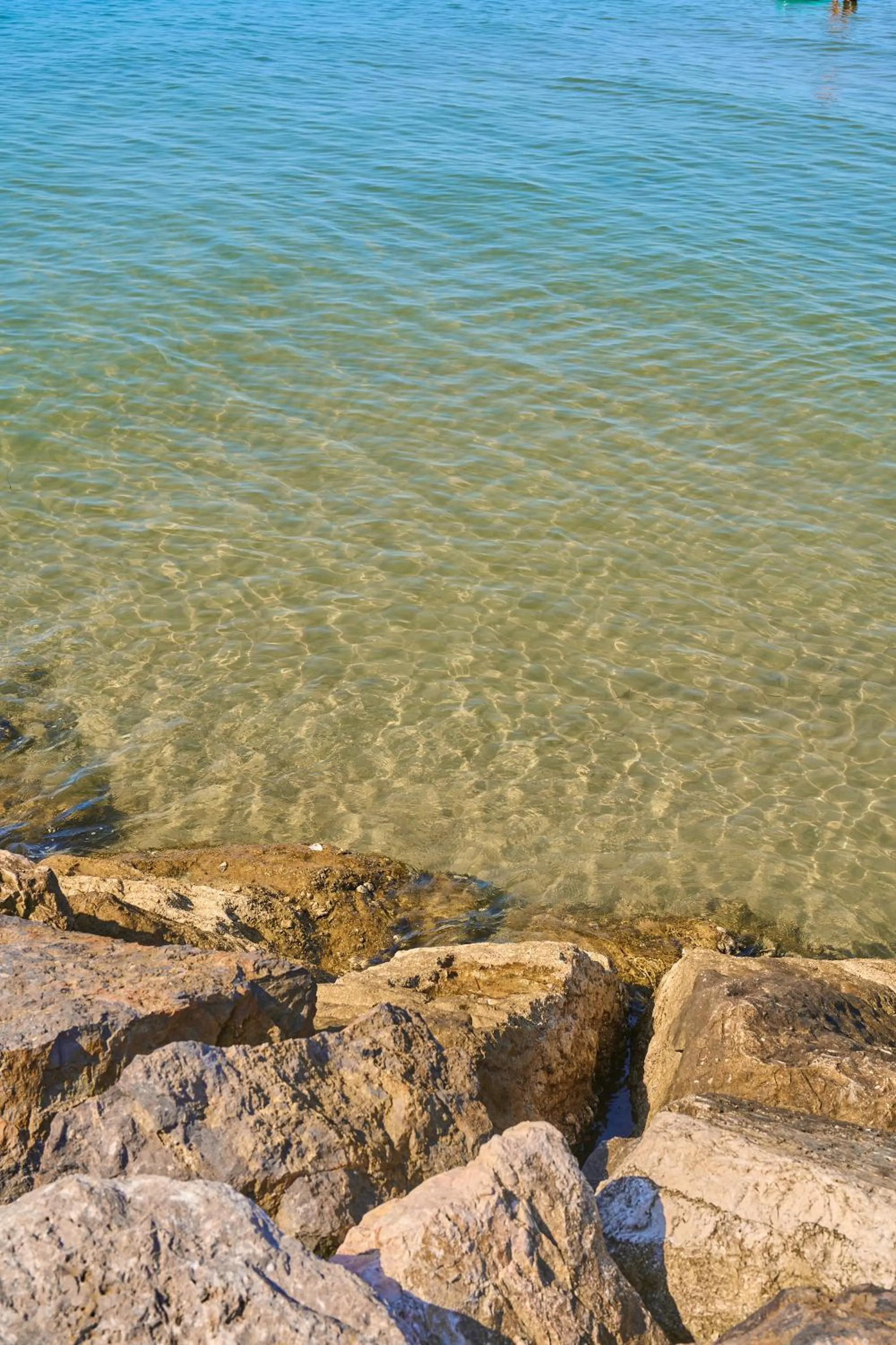 Beach in Hotel Viña del Mar Pineta
