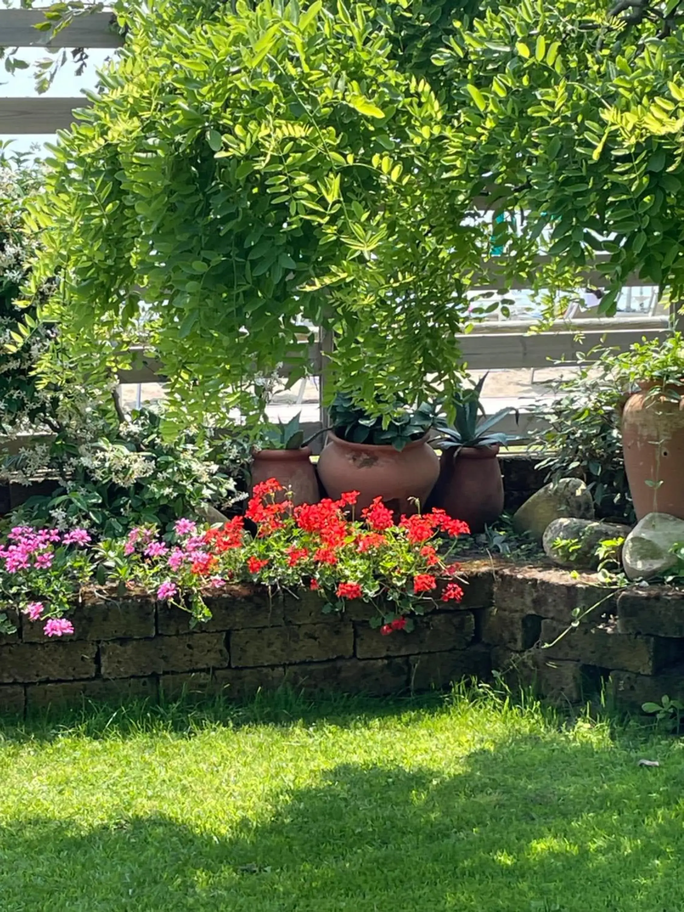 Garden in Hotel Viña del Mar Pineta