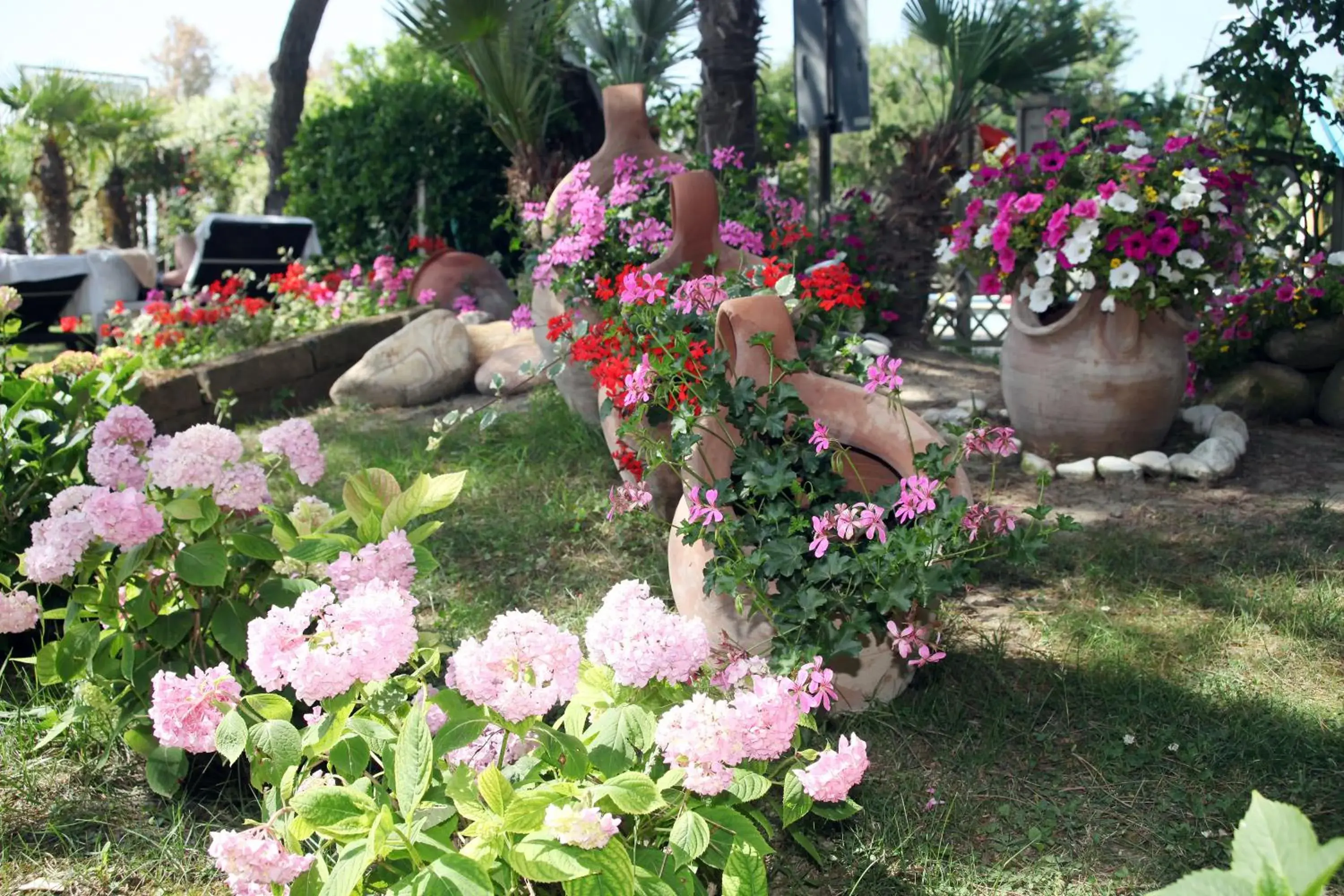 Garden in Hotel Viña del Mar Pineta