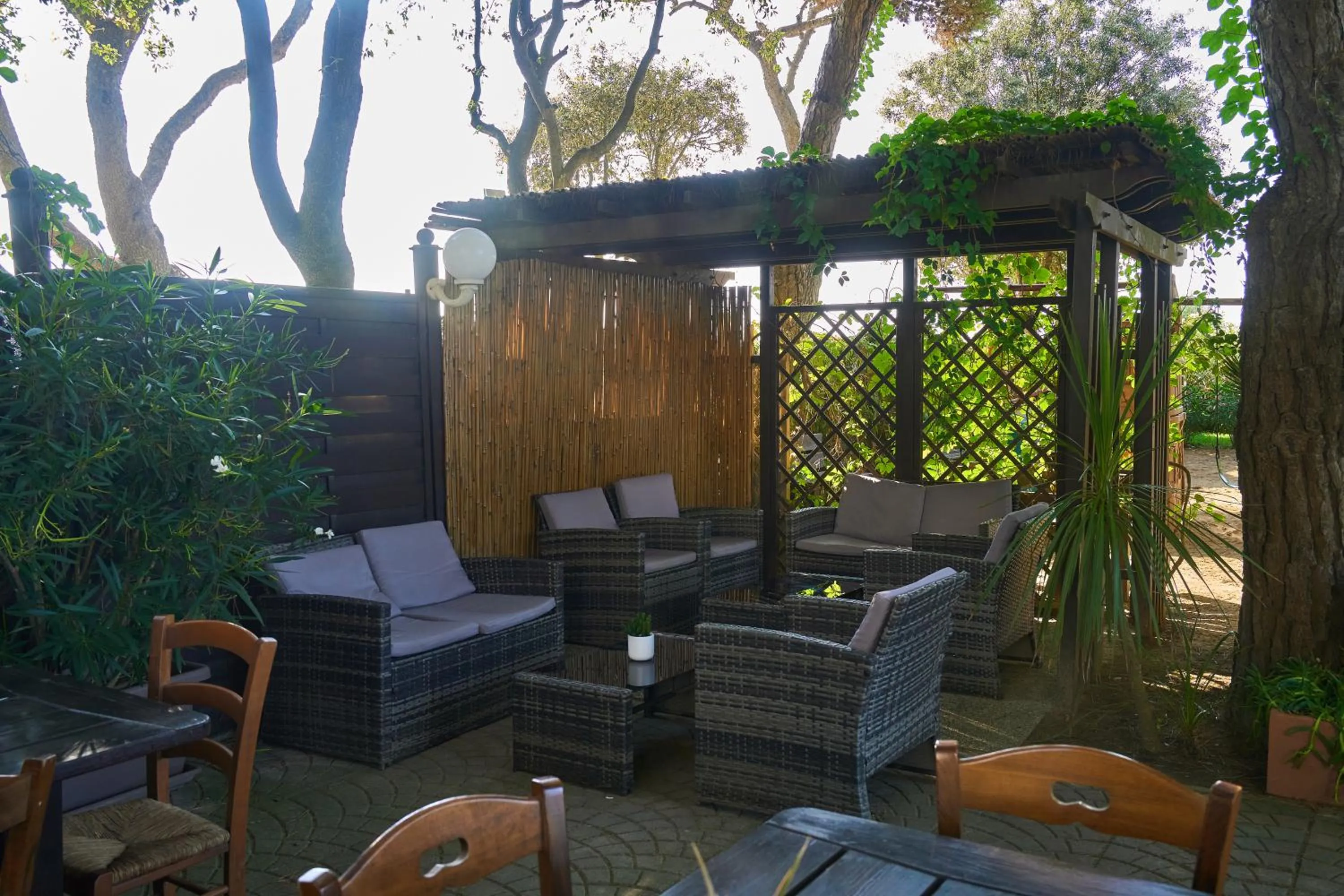 Garden view in Hotel Viña del Mar Pineta