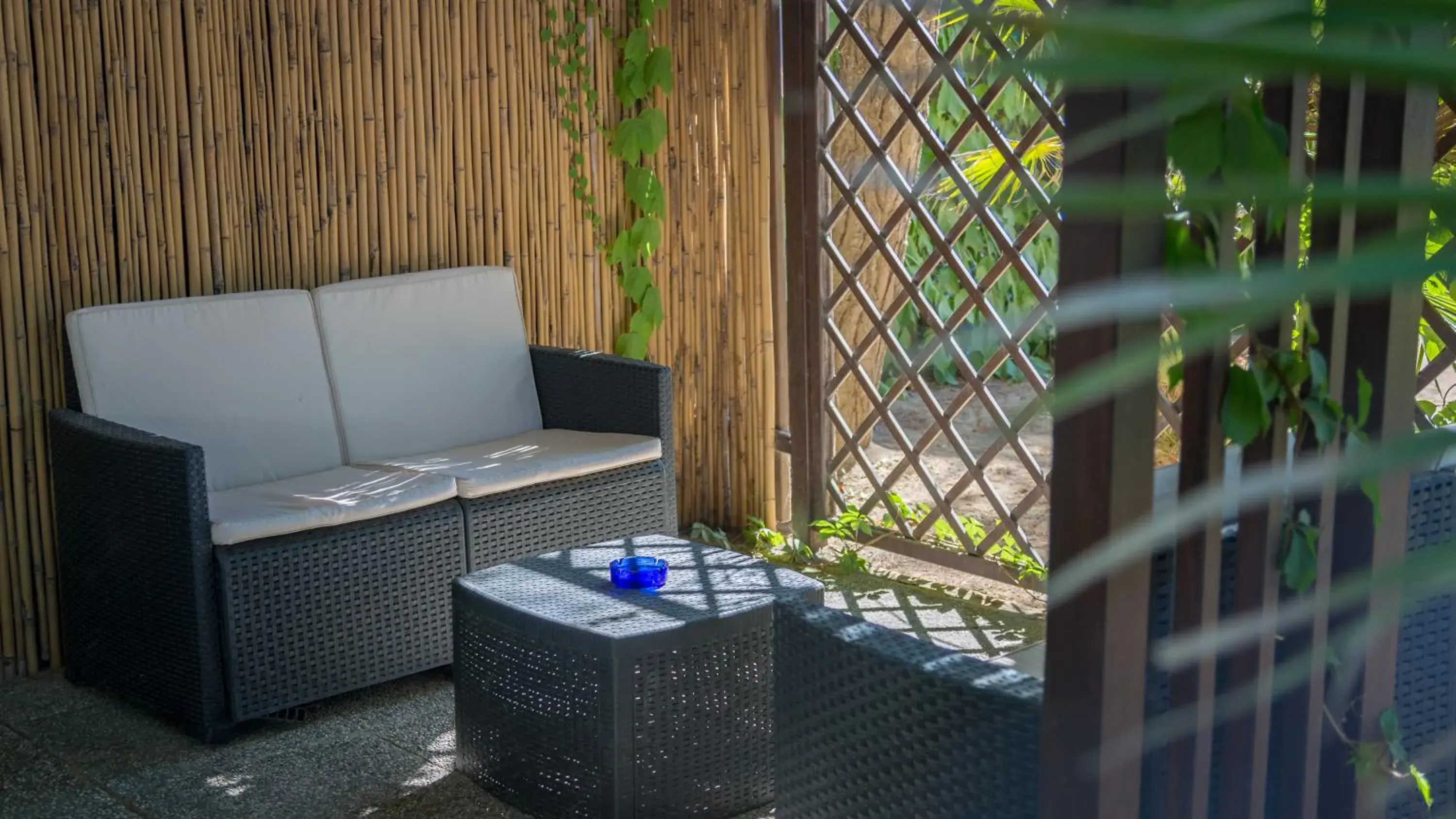 Garden, Seating Area in Hotel Viña del Mar Pineta