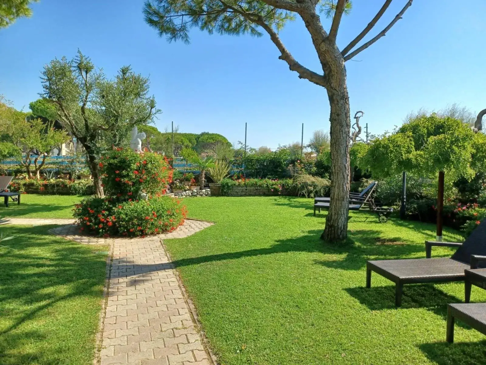 Garden in Hotel Viña del Mar Pineta