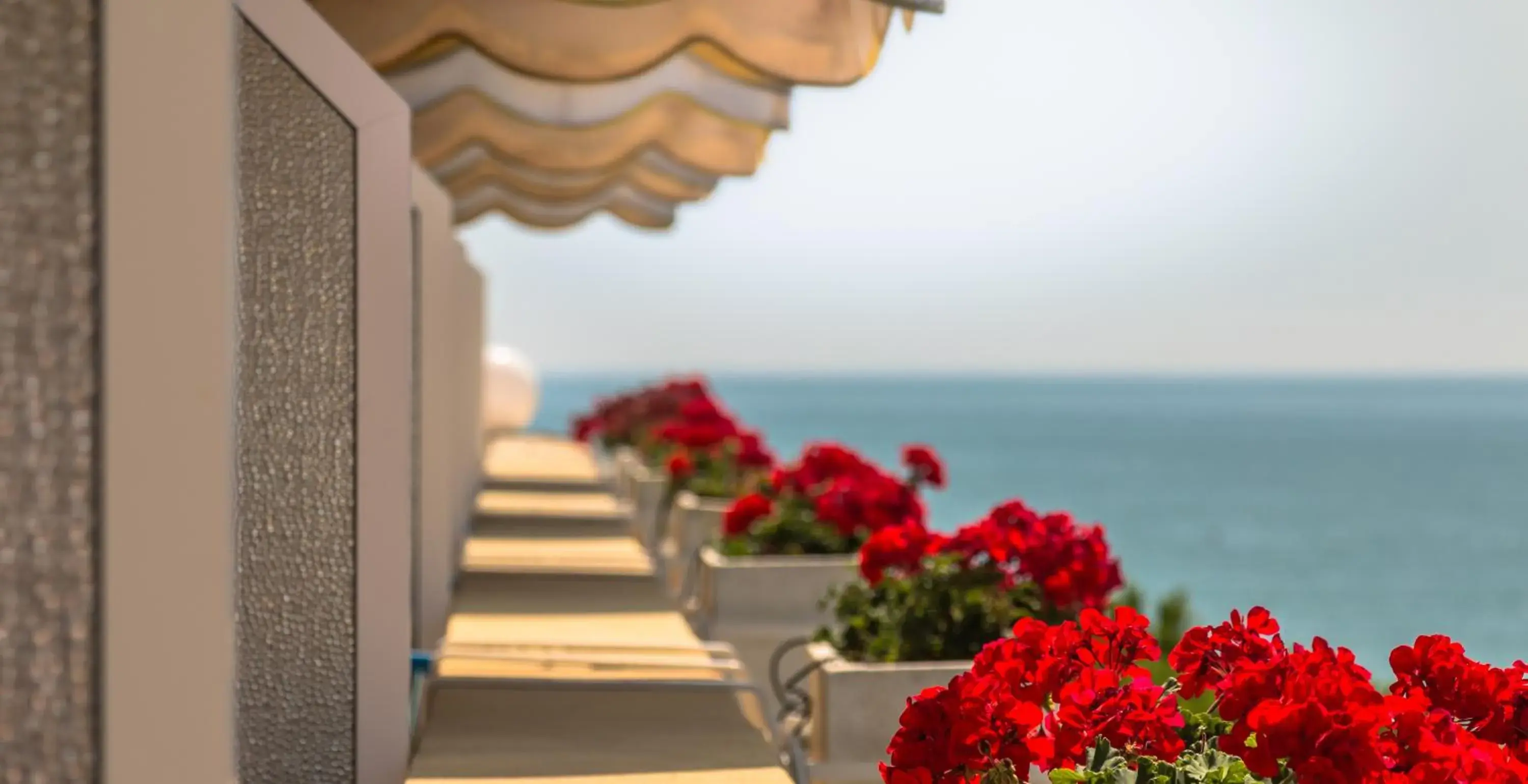 Sea view in Hotel Viña del Mar Pineta