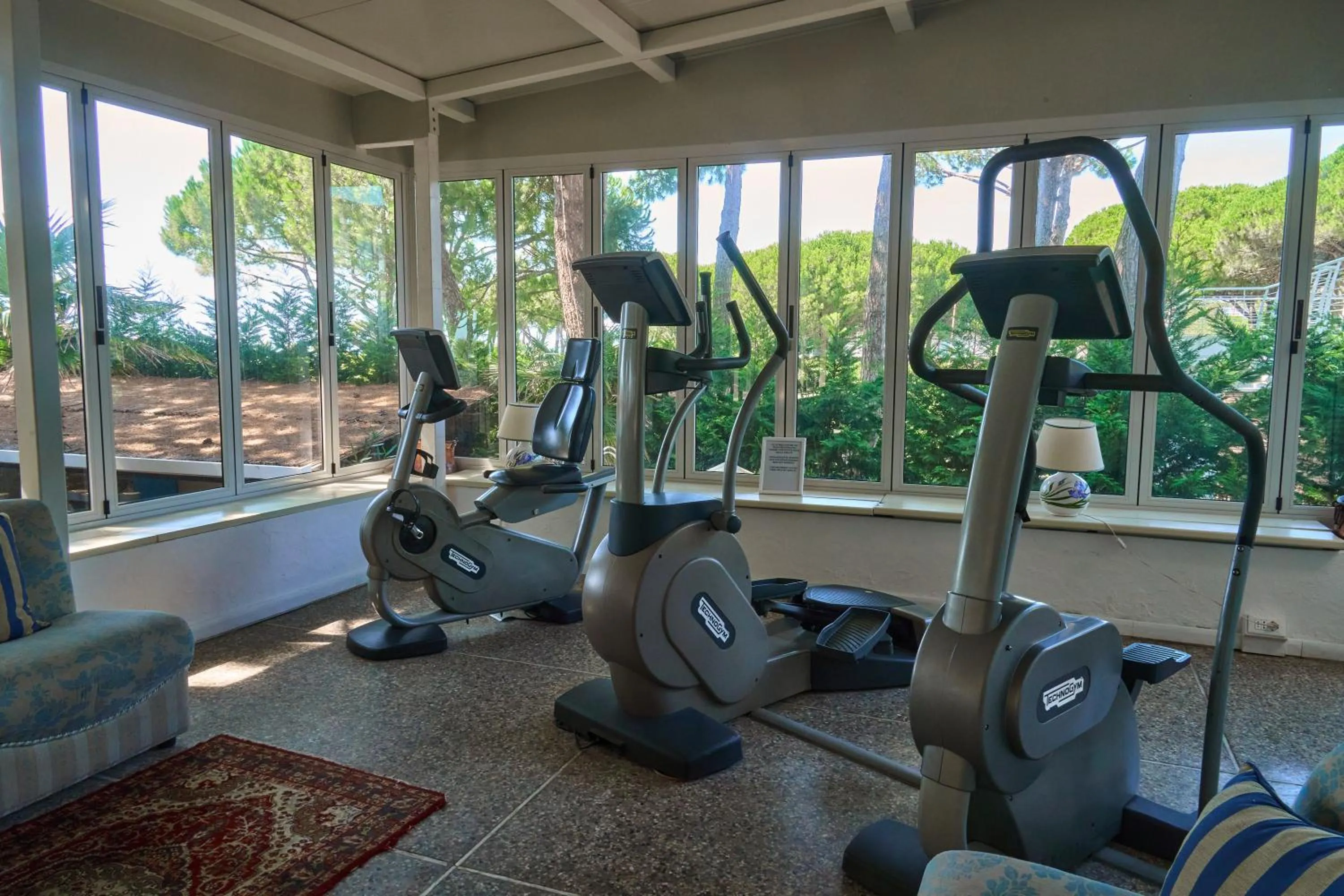 Fitness centre/facilities in Hotel Viña del Mar Pineta