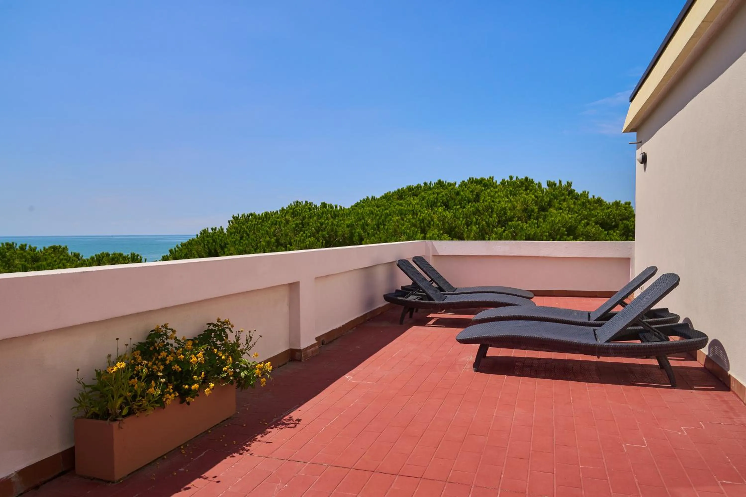 Balcony/Terrace in Hotel Viña del Mar Pineta