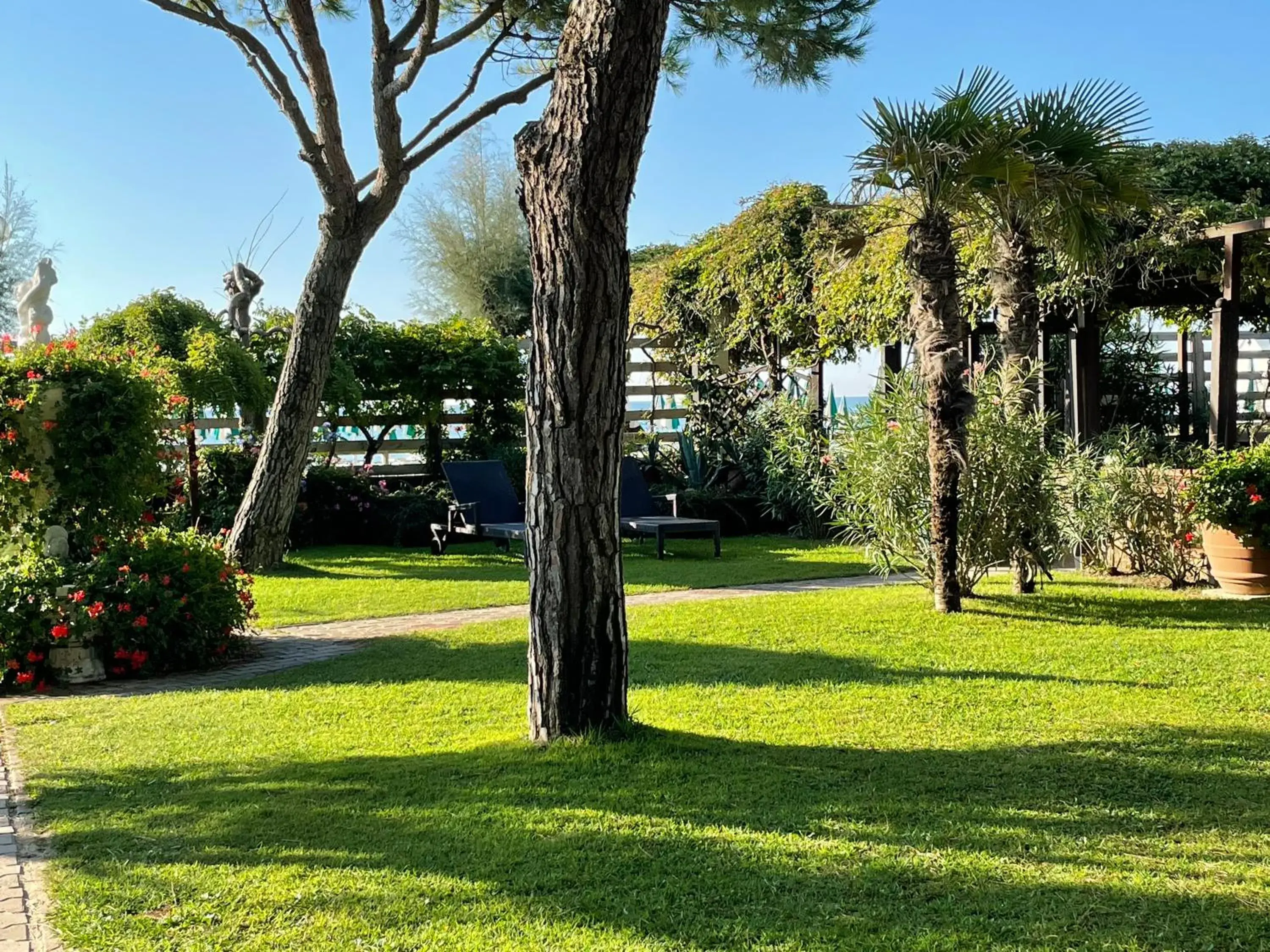 Garden in Hotel Viña del Mar Pineta