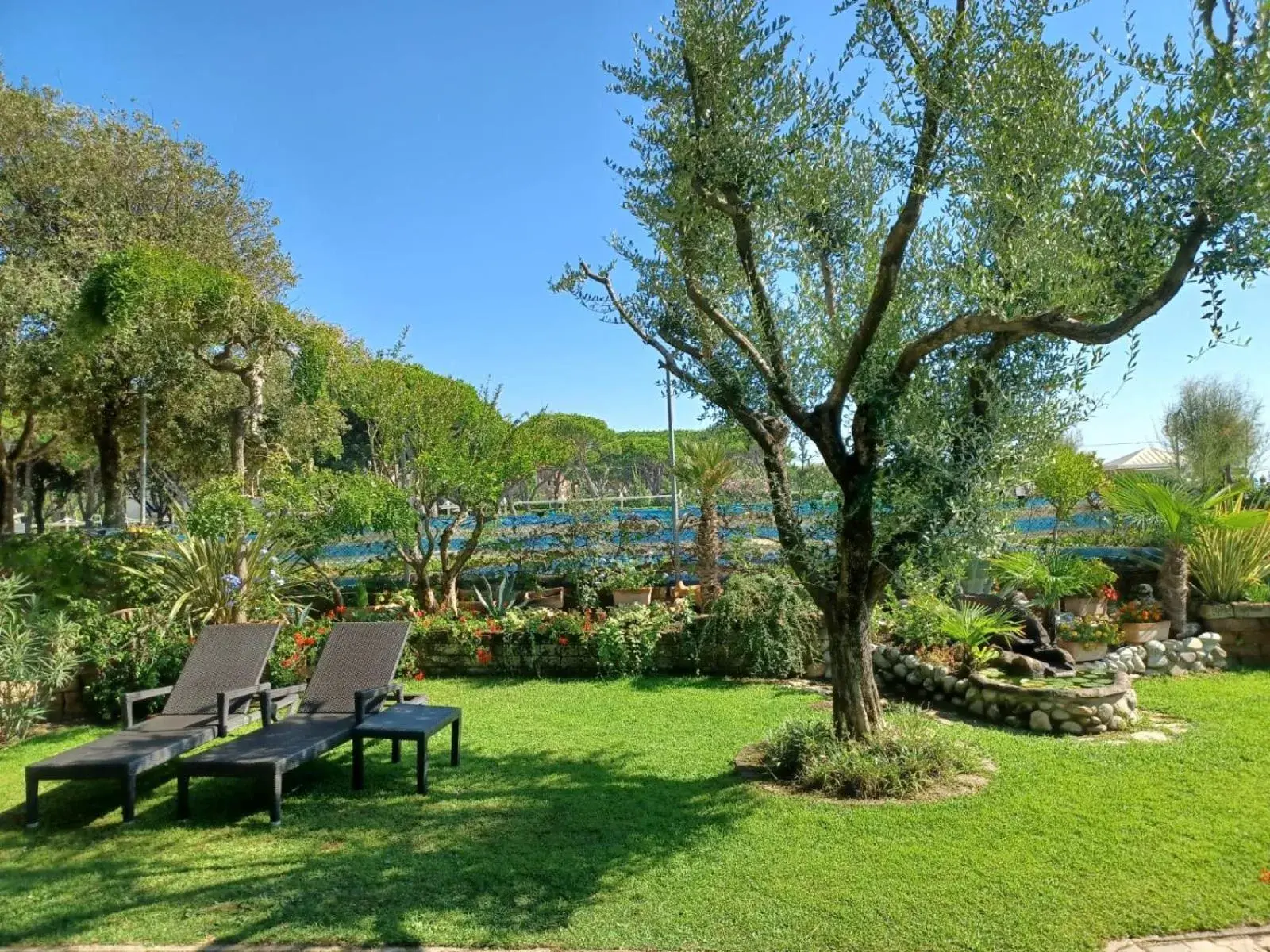 Garden in Hotel Viña del Mar Pineta