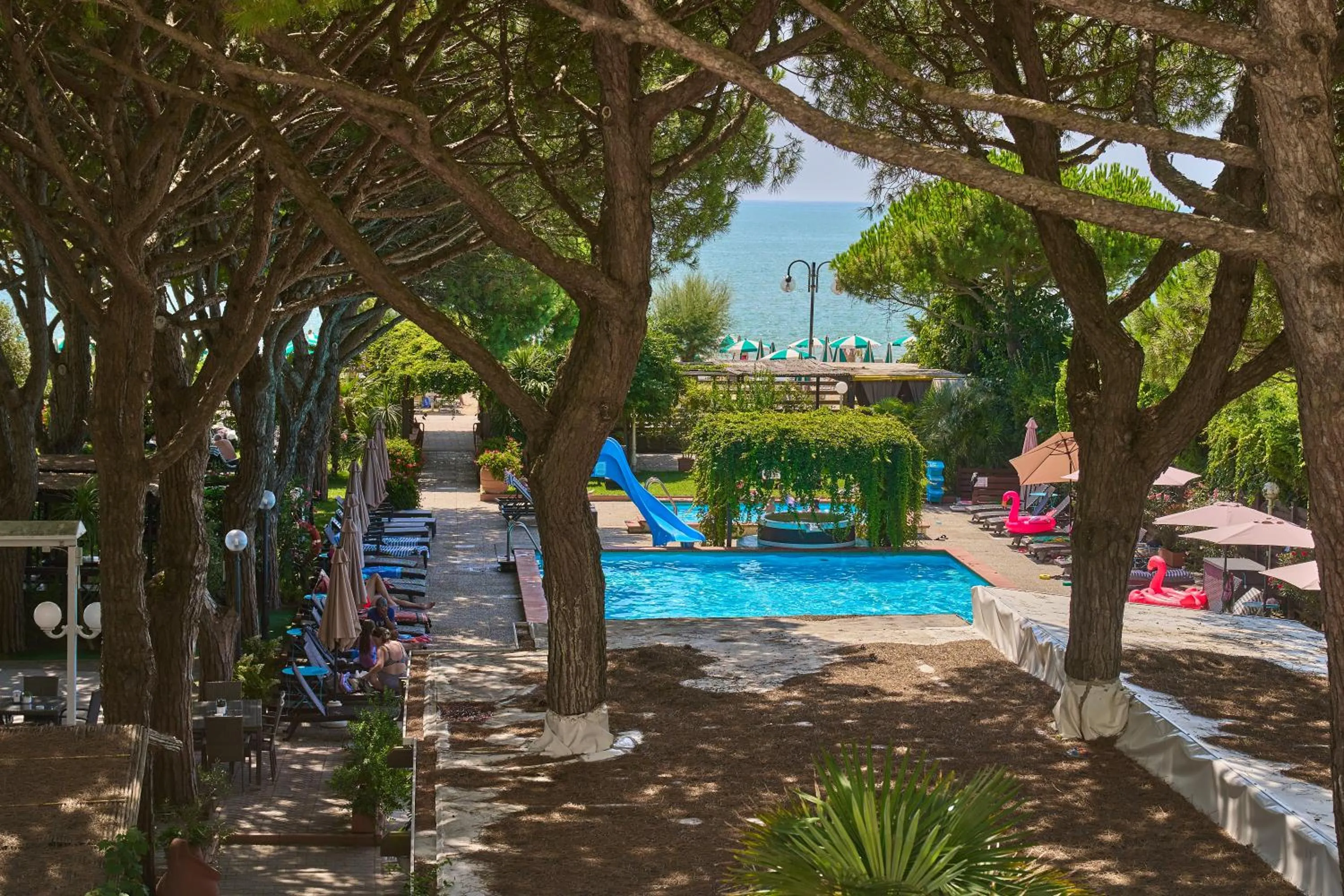 Pool view in Hotel Viña del Mar Pineta