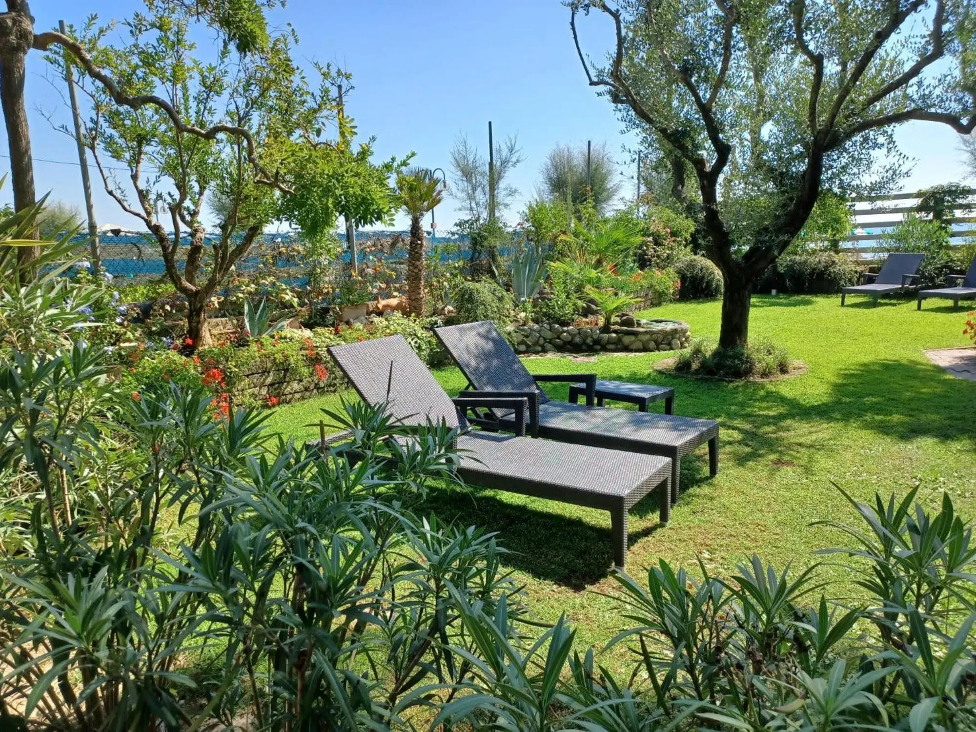 Garden in Hotel Viña del Mar Pineta