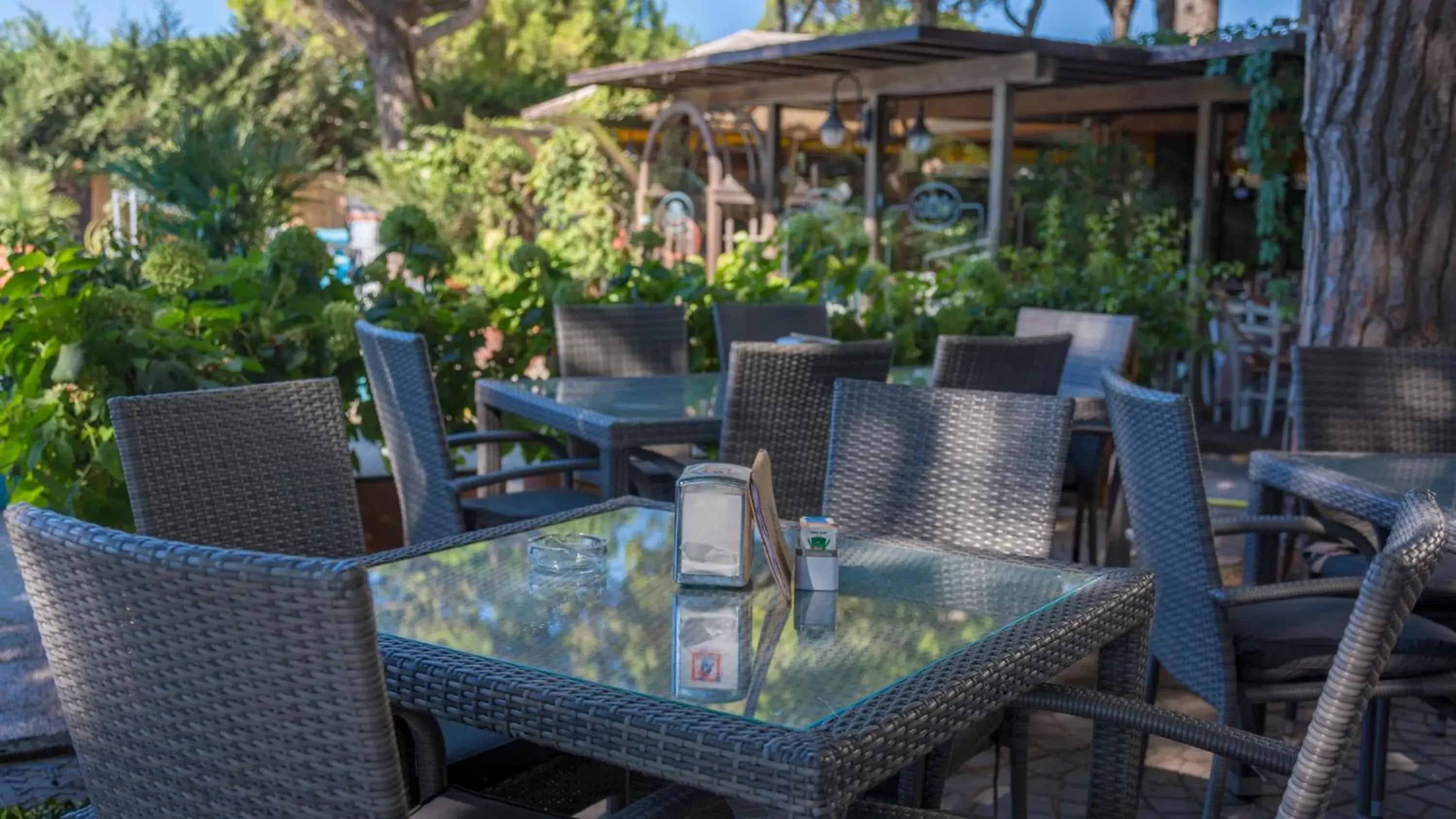 Lounge or bar, Restaurant/Places to Eat in Hotel Viña del Mar Pineta