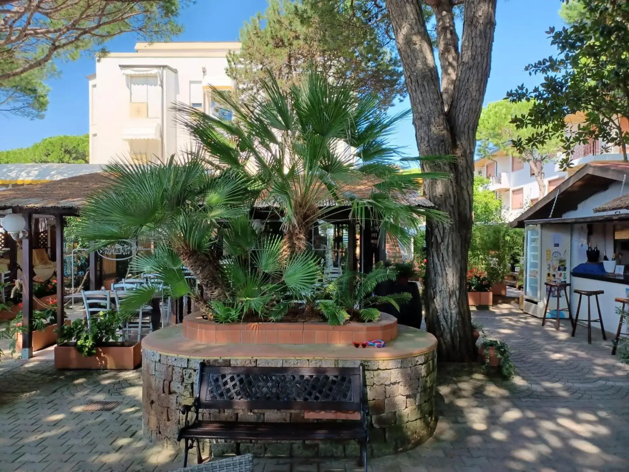 Garden in Hotel Viña del Mar Pineta