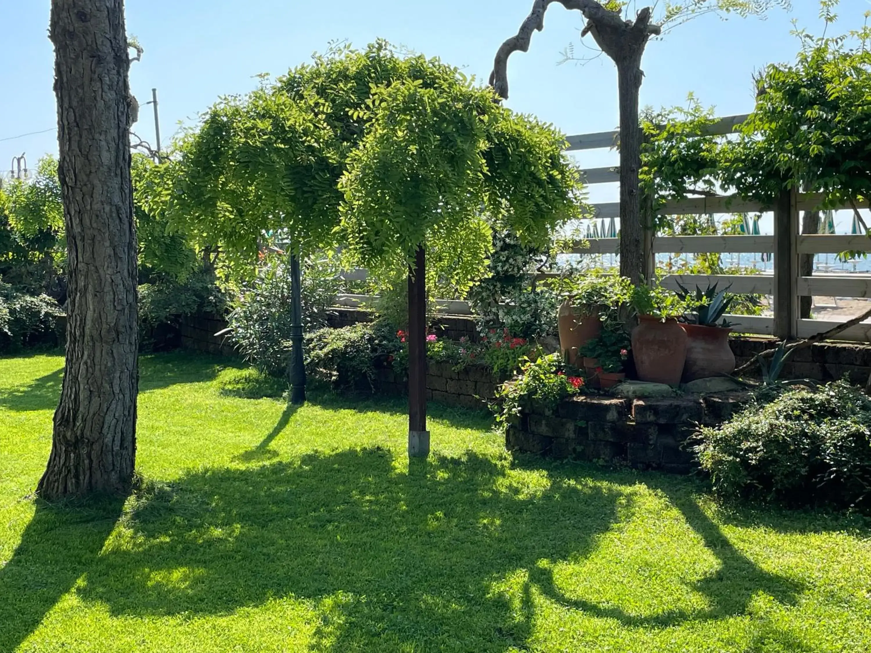 Garden in Hotel Viña del Mar Pineta