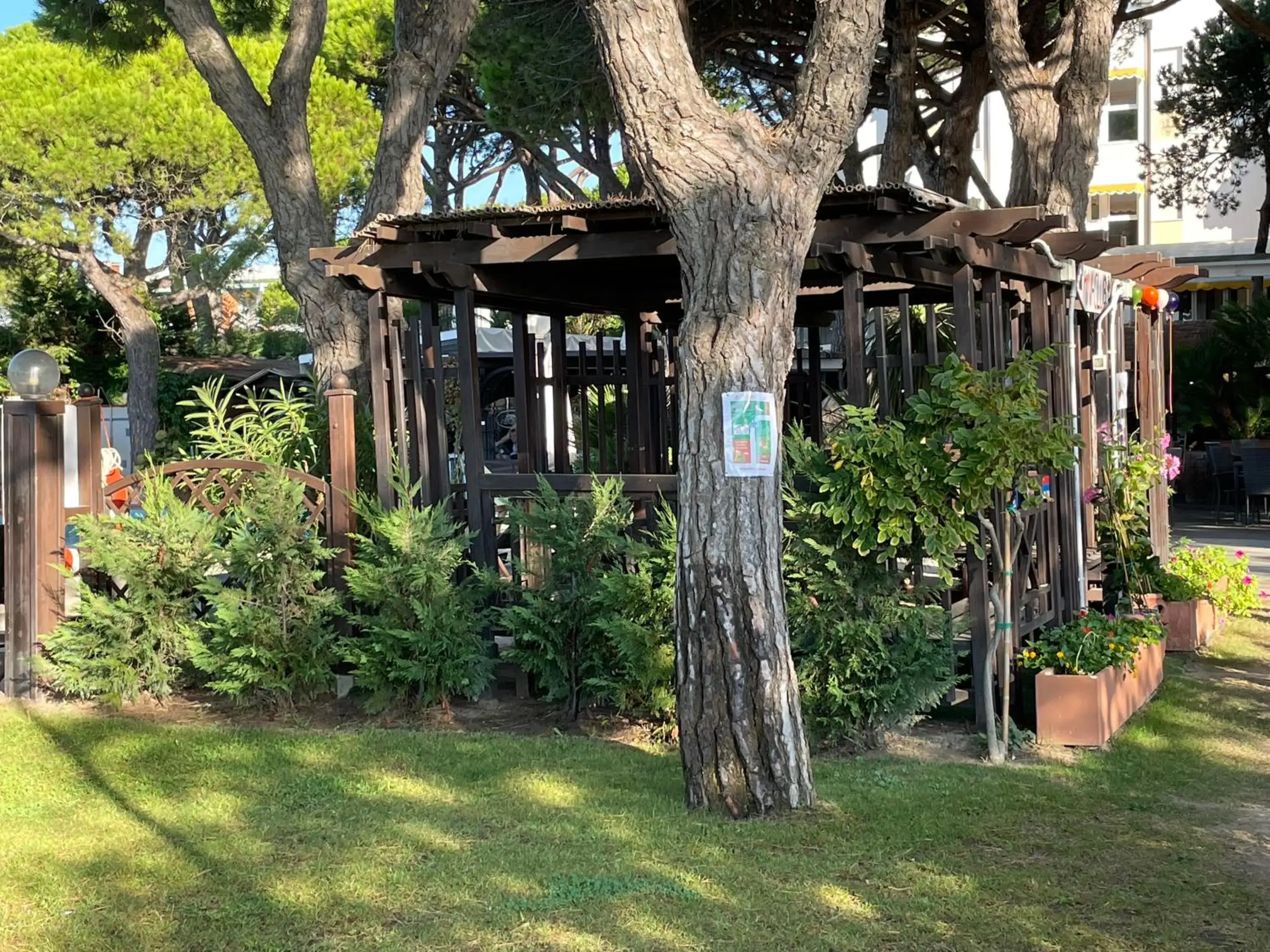 Garden in Hotel Viña del Mar Pineta