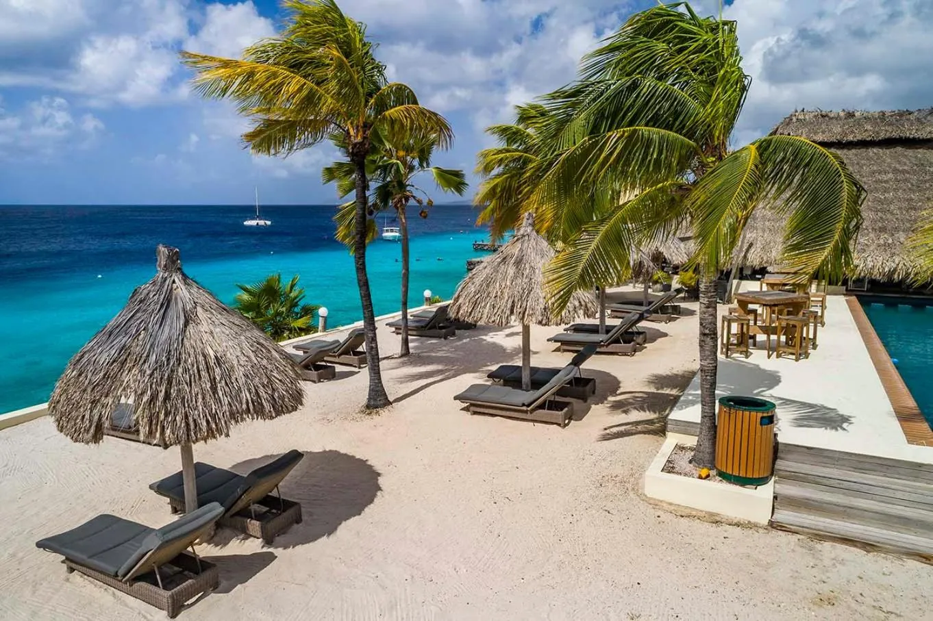 Property building in Buddy Dive Resort