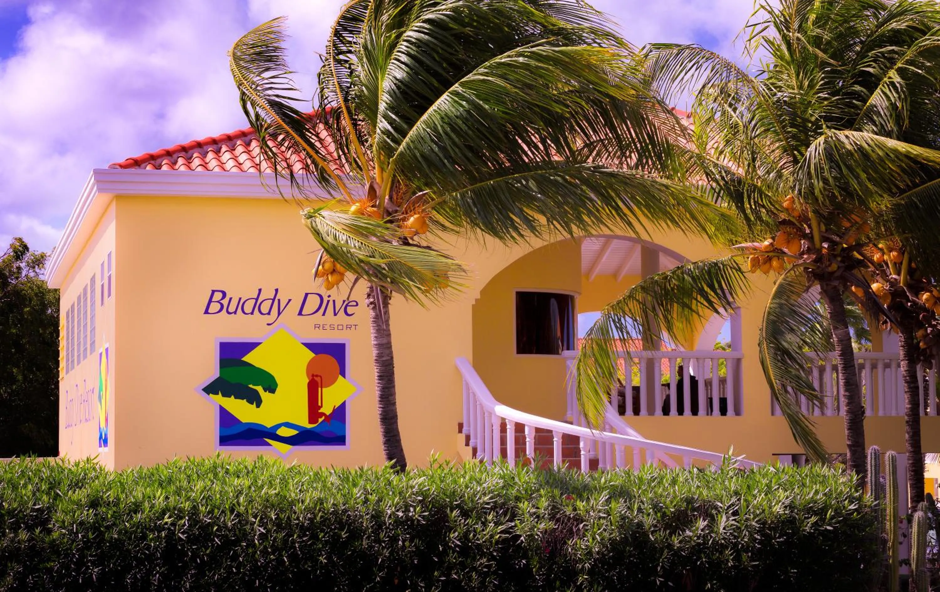 Property building in Buddy Dive Resort