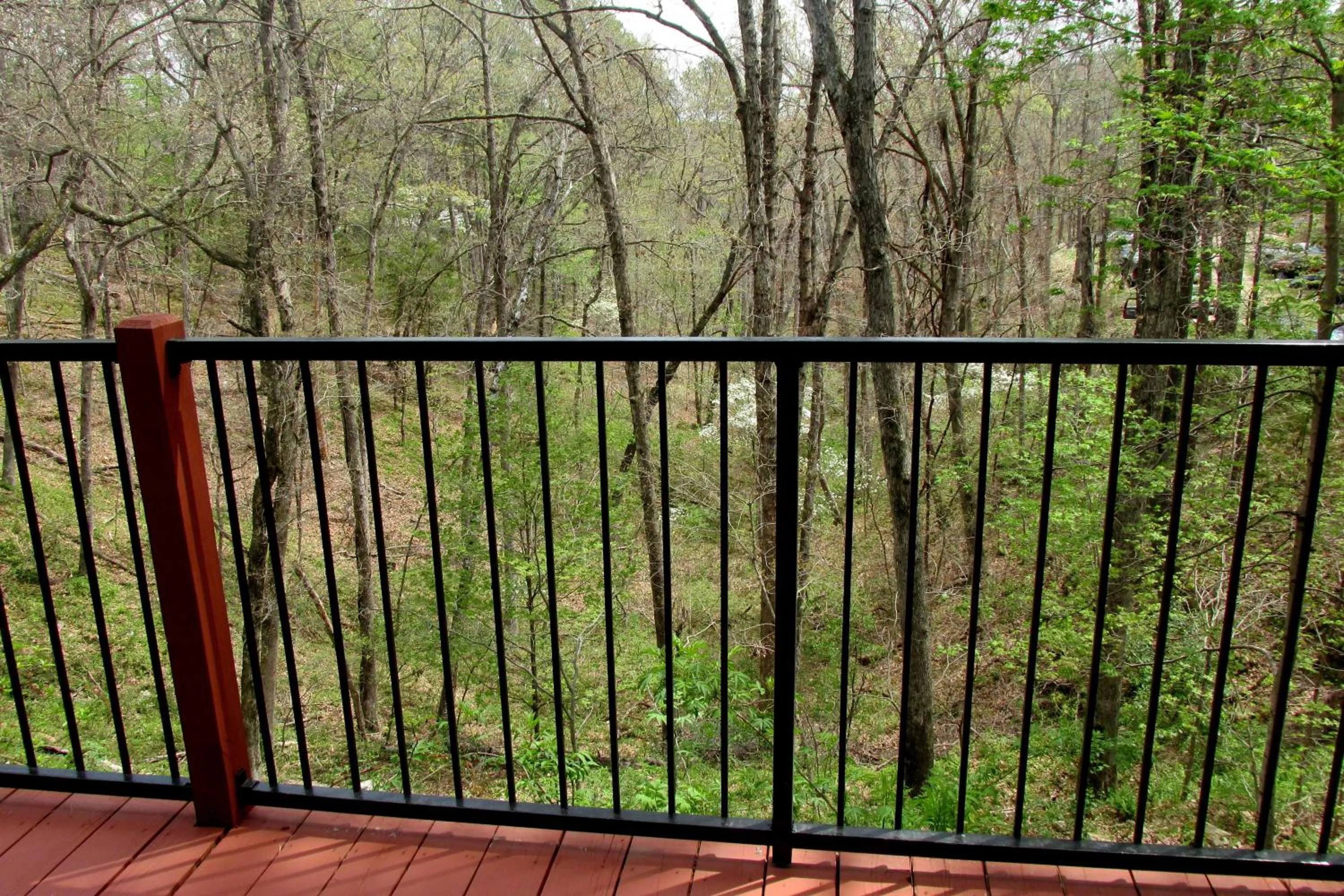 View (from property/room) in Brydan Suites