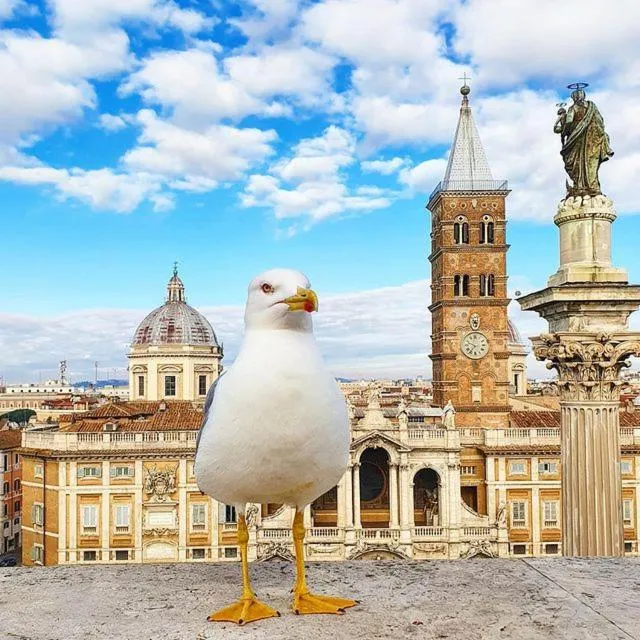 Balcony/Terrace in Hotel Mecenate Palace