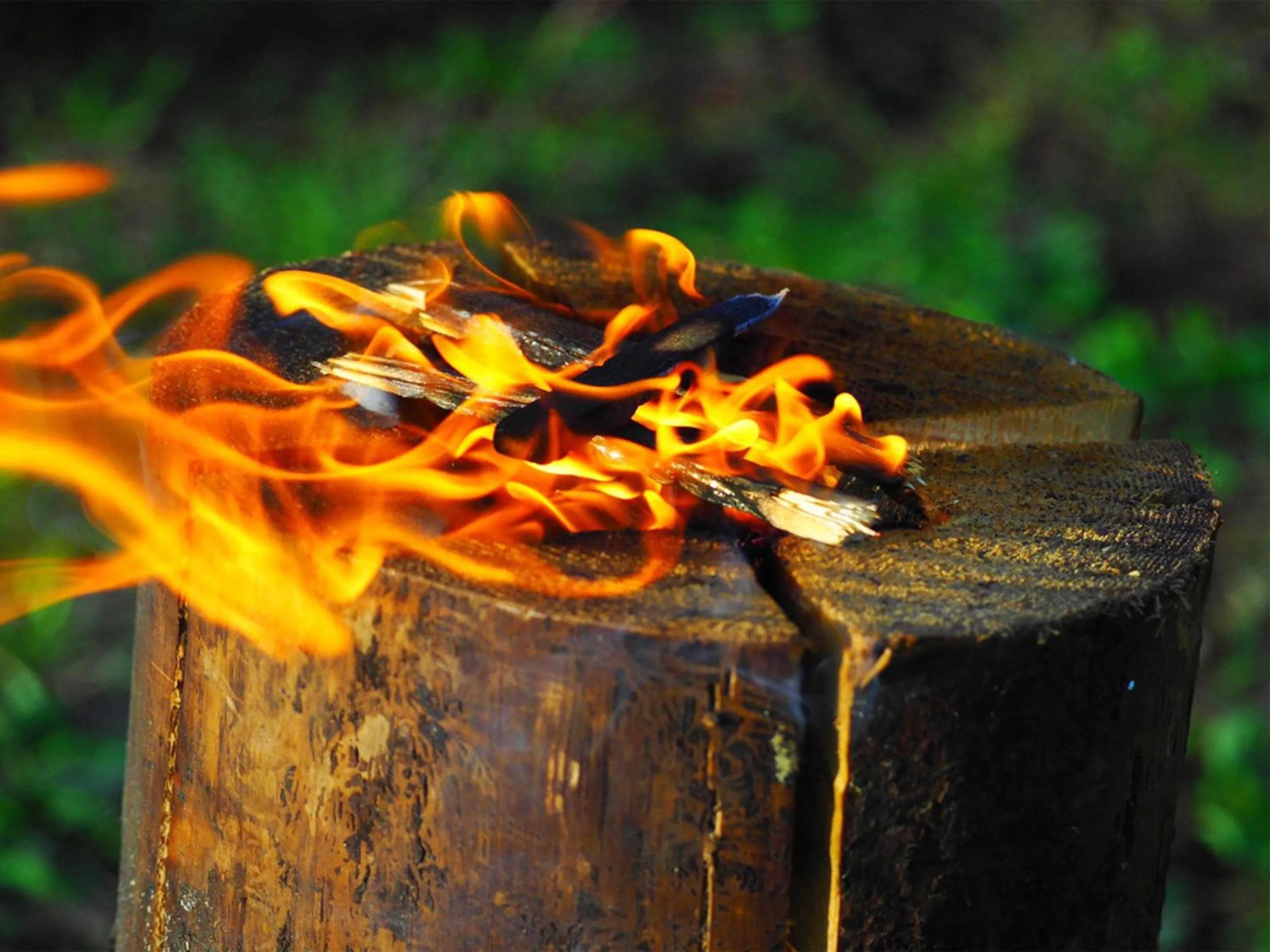 Activities in Arcadia