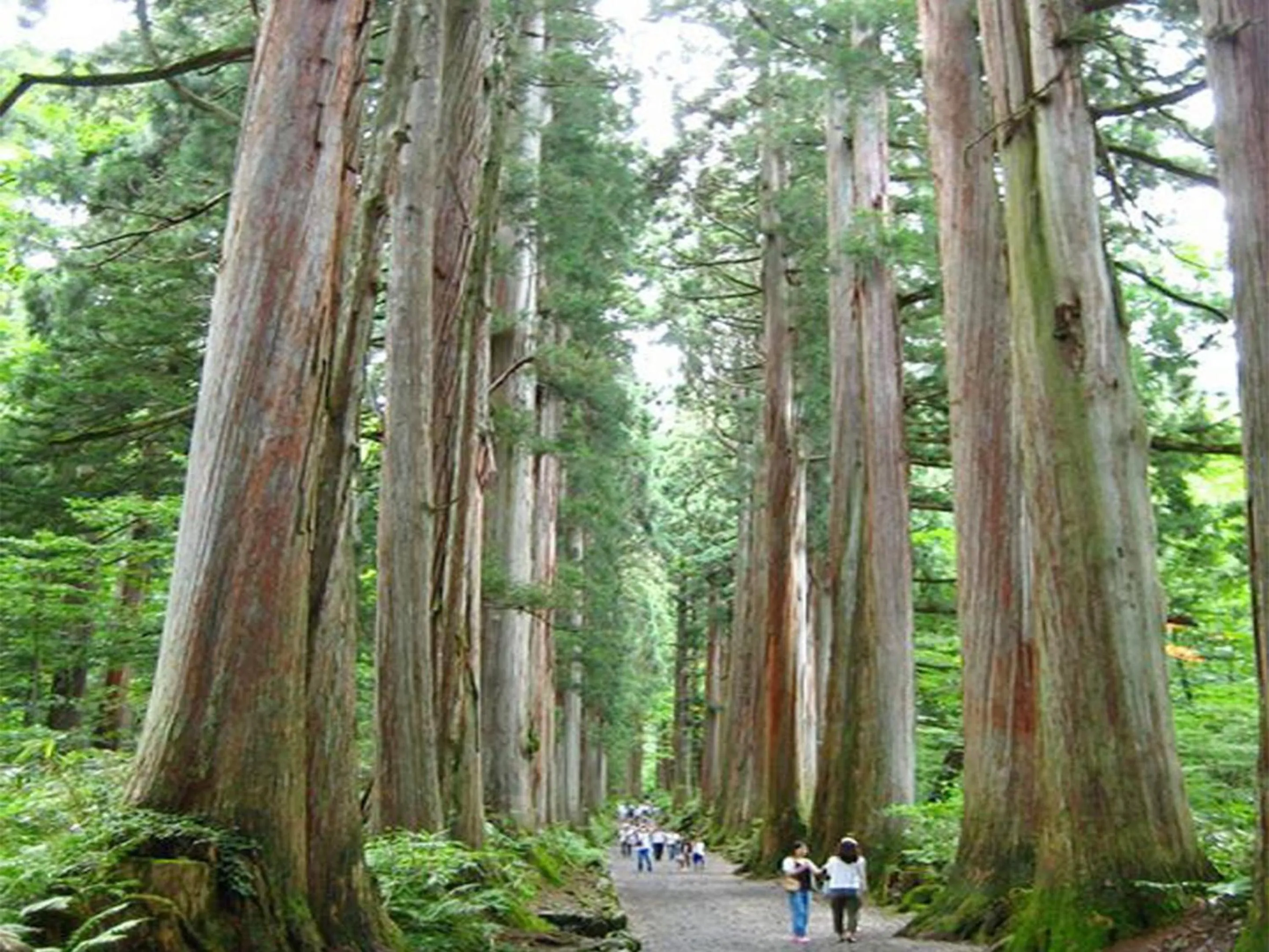 Nearby landmark in Arcadia