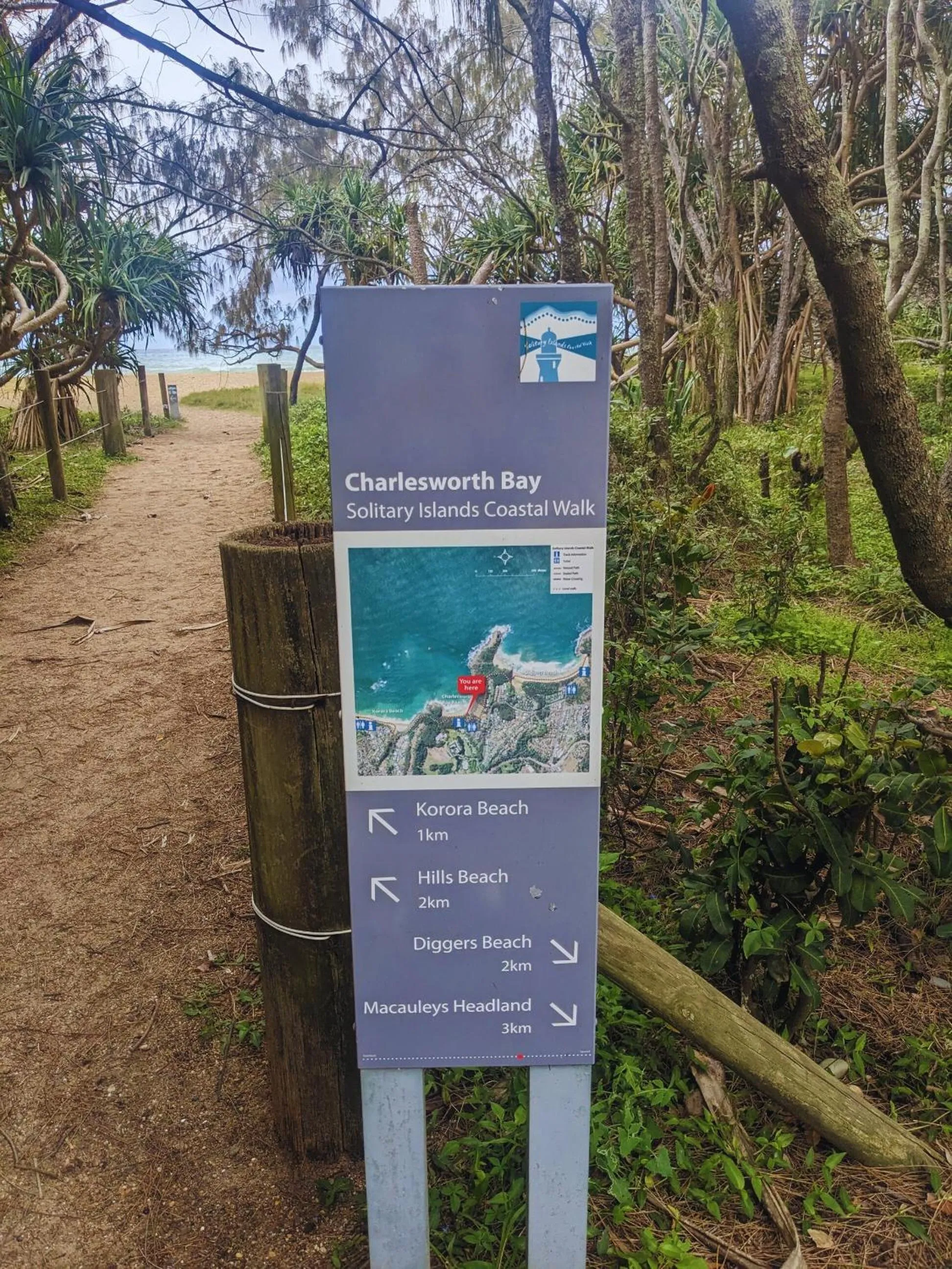 Beach in Charlesworth Bay Beach Resort