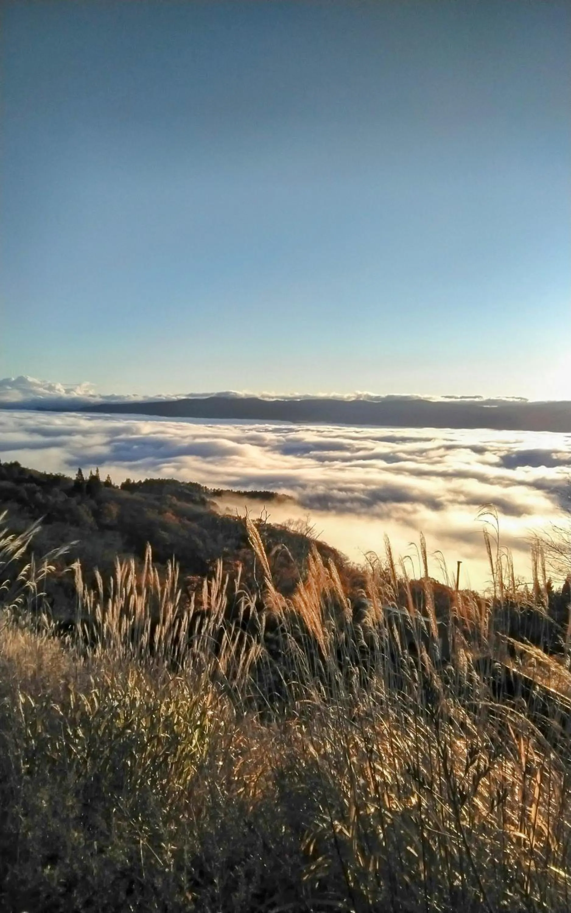 Natural landscape in Pension Pure