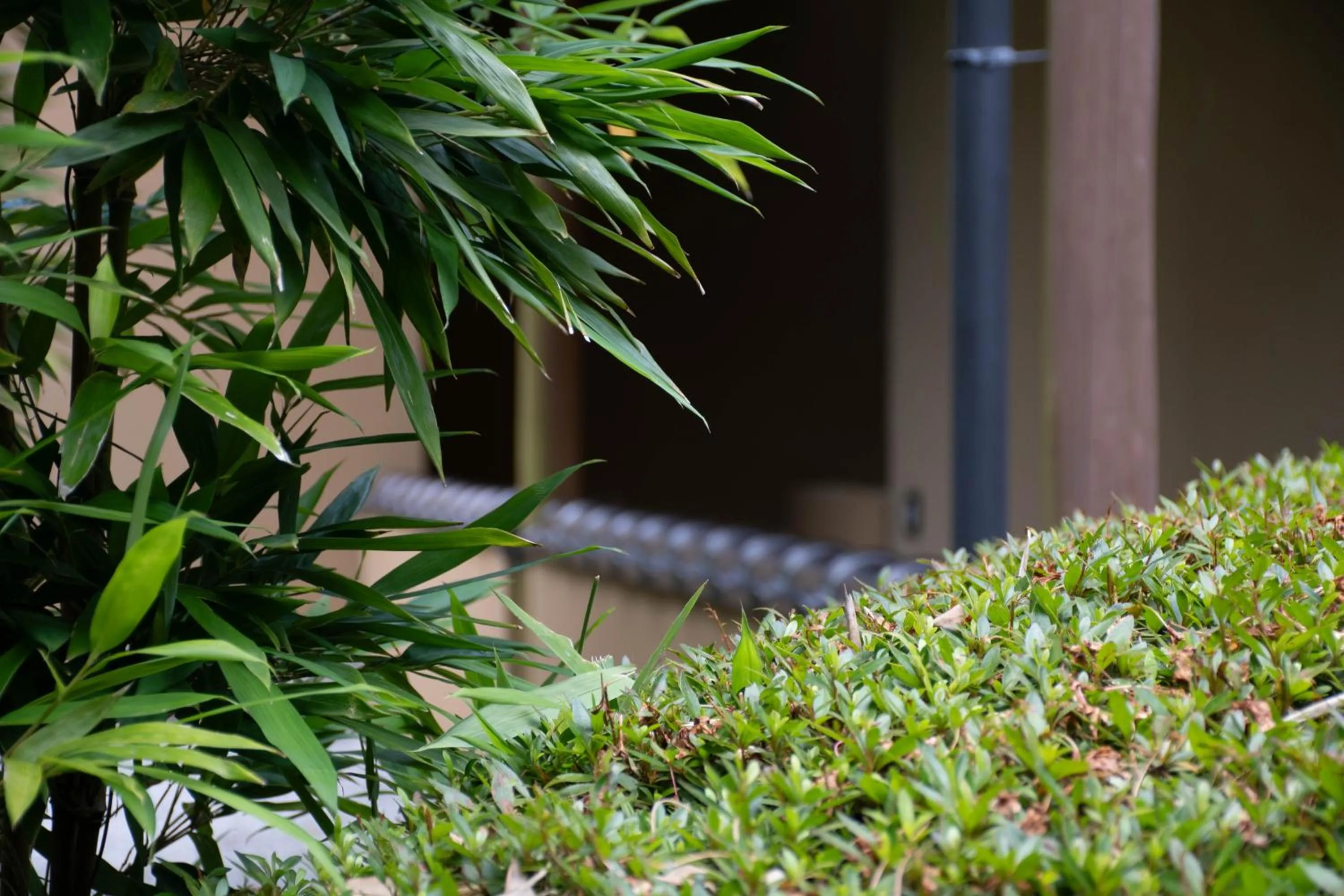 Garden in Hanare Yado Yosizumi