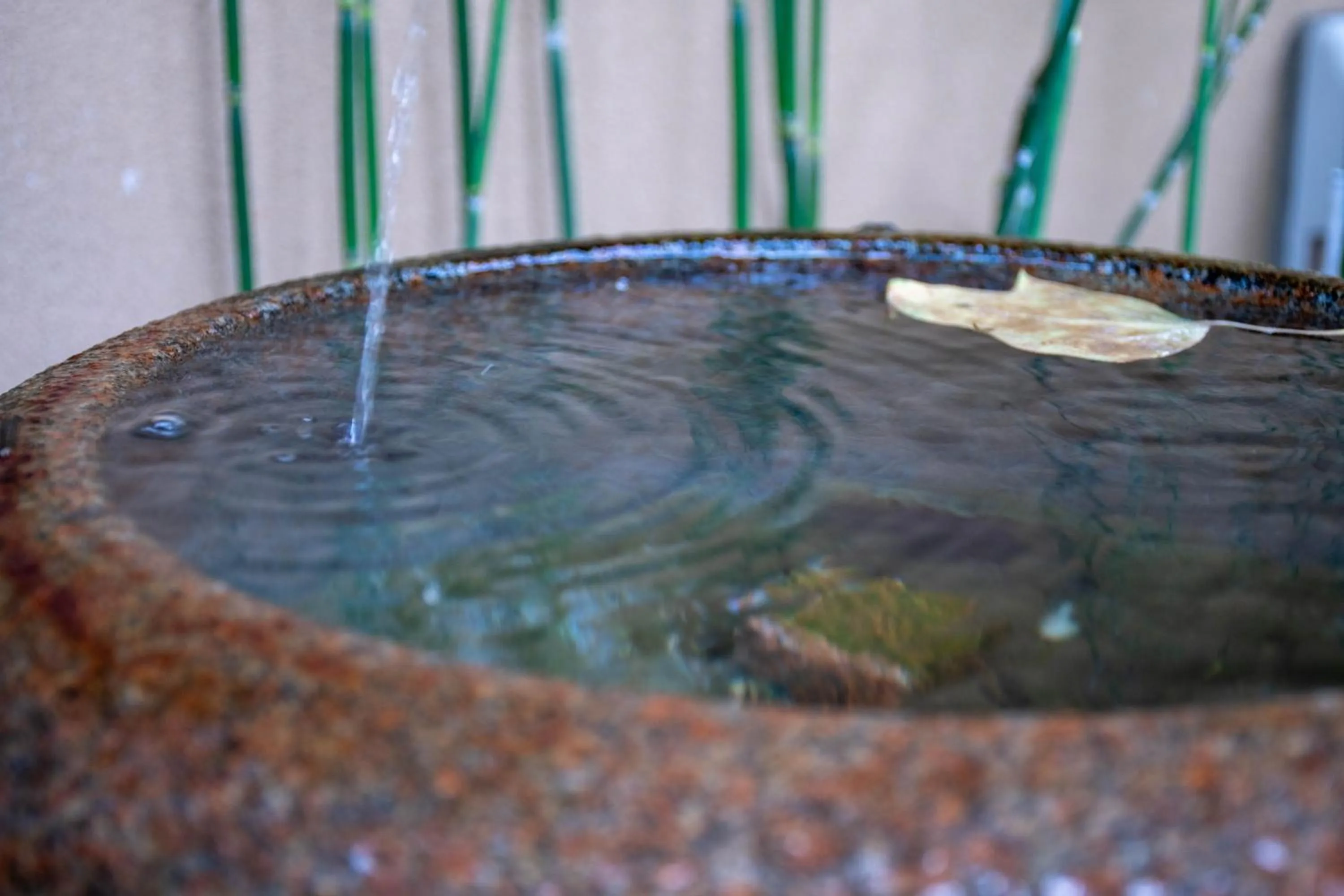 Garden view in Hanare Yado Yosizumi