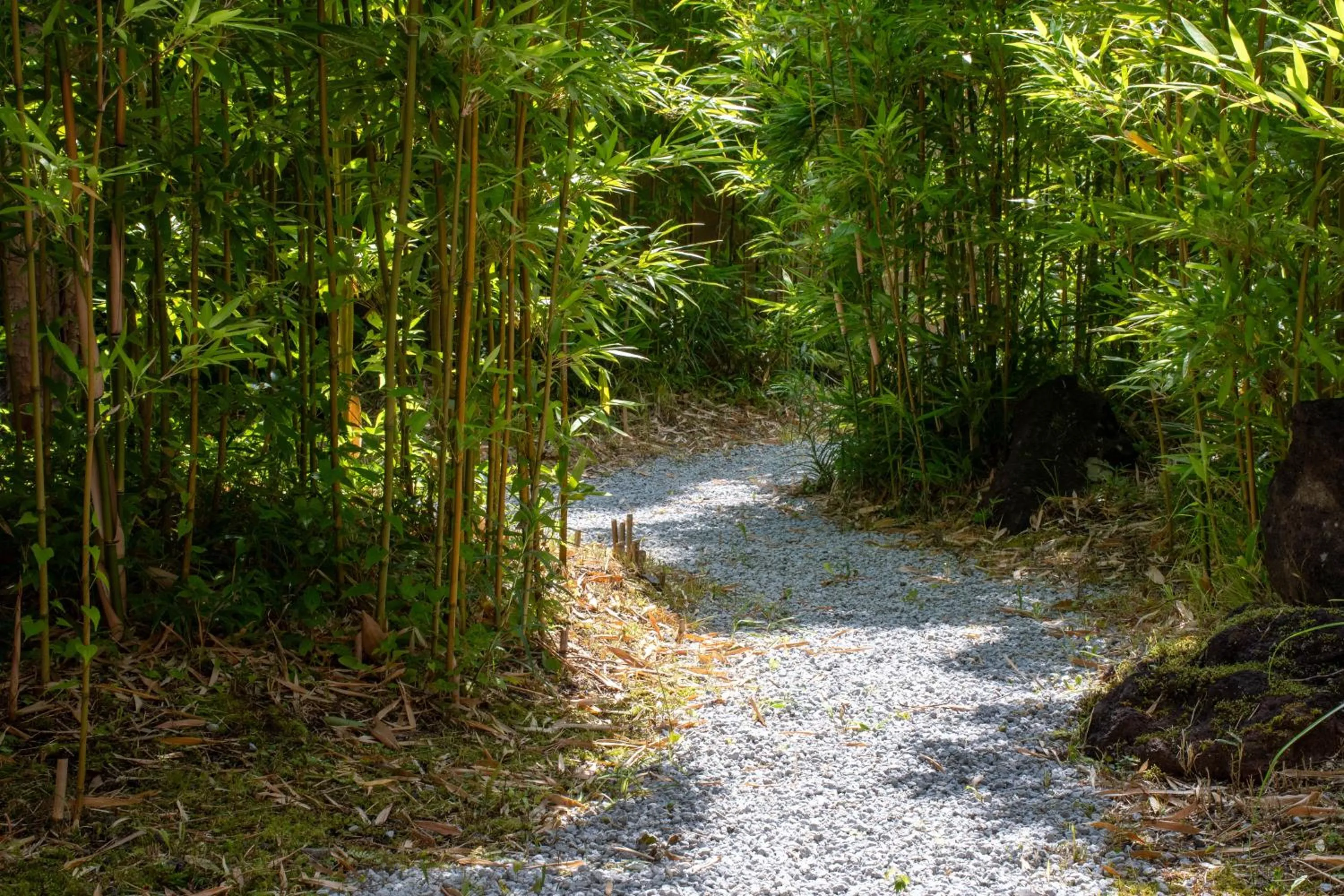 Day in Hanare Yado Yosizumi