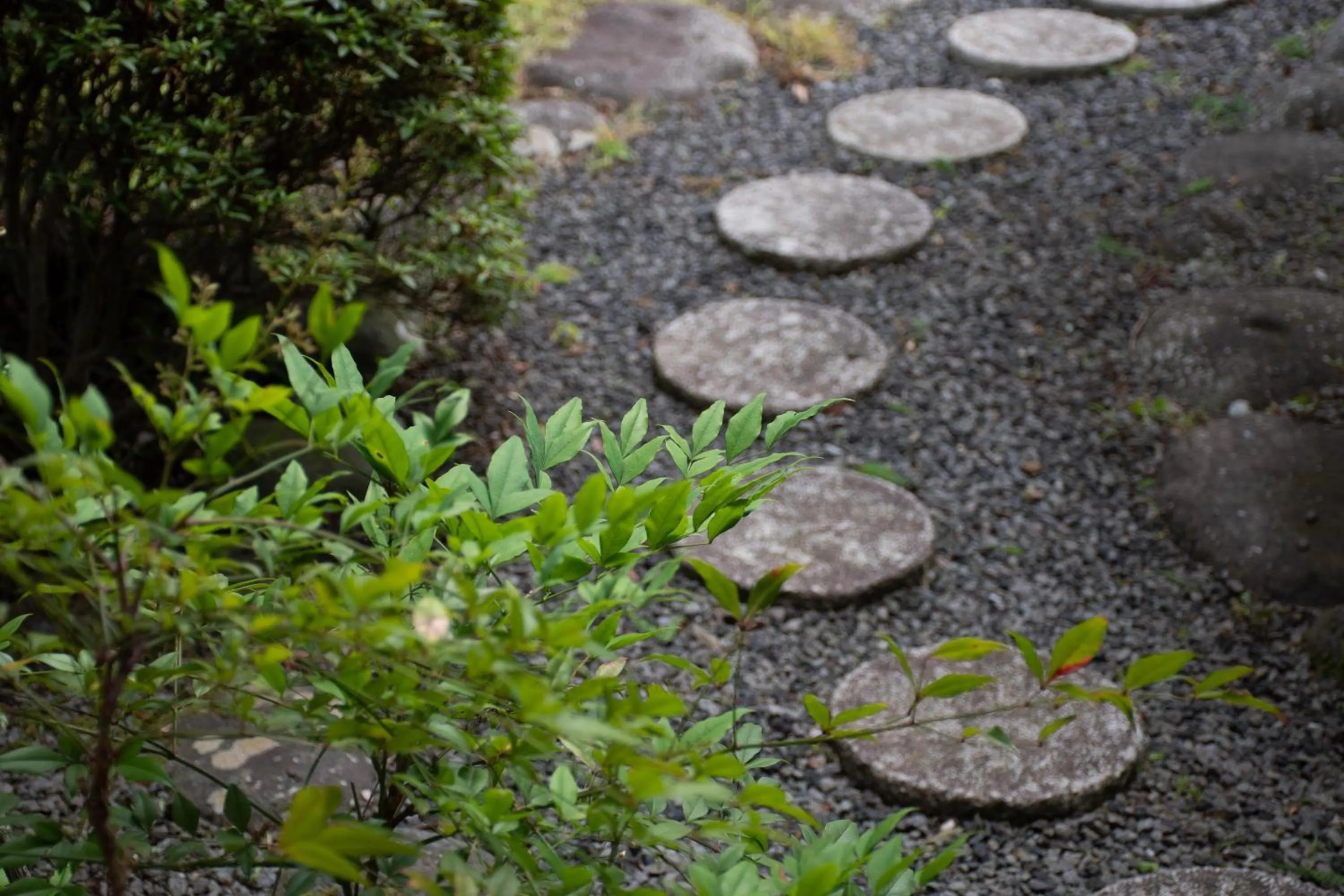 Day in Hanare Yado Yosizumi