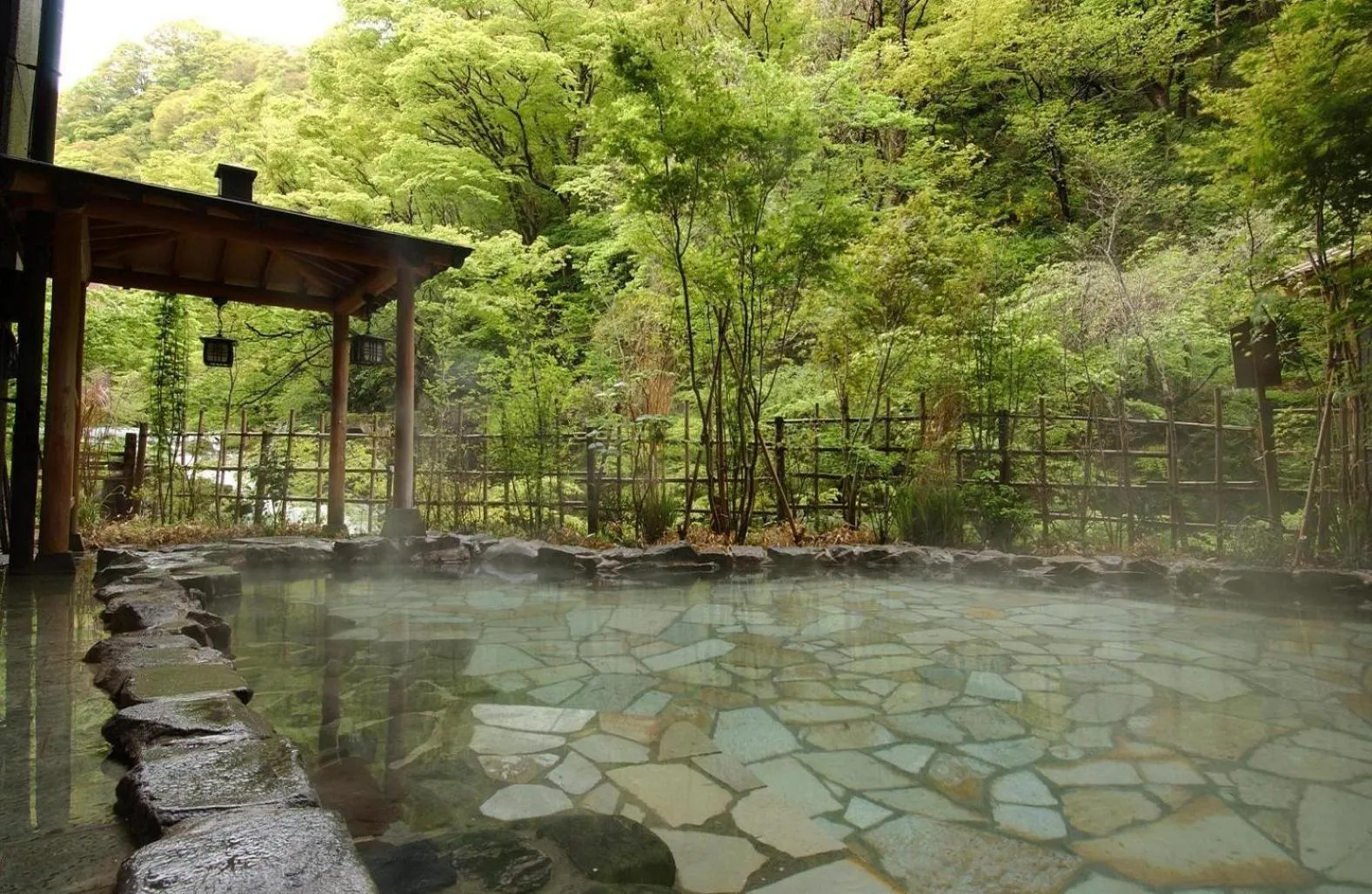 Hot Spring Bath in Harataki