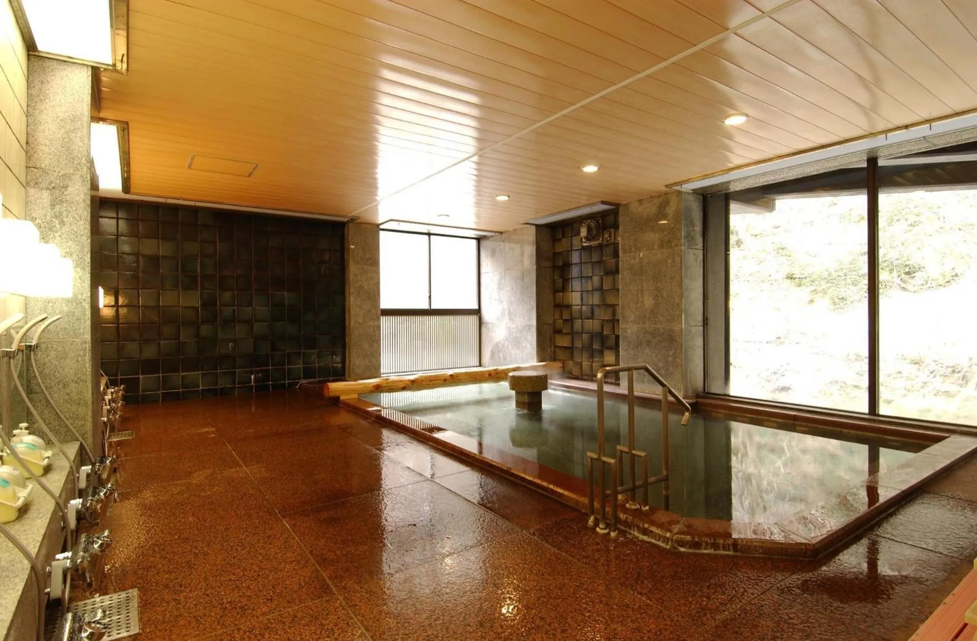 Hot Spring Bath in Harataki
