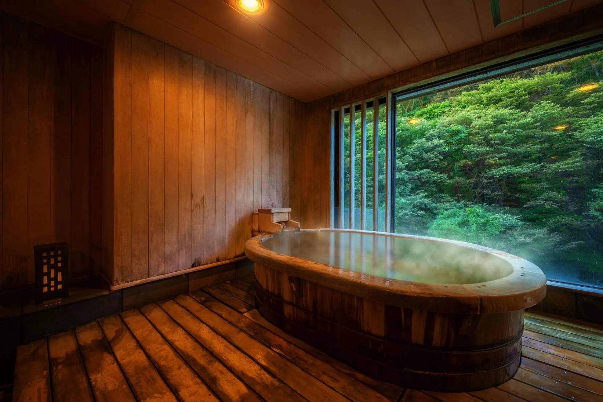 Hot Spring Bath in Harataki