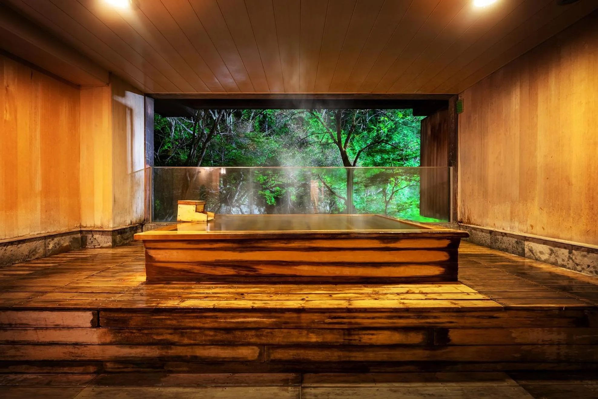 Hot Spring Bath in Harataki