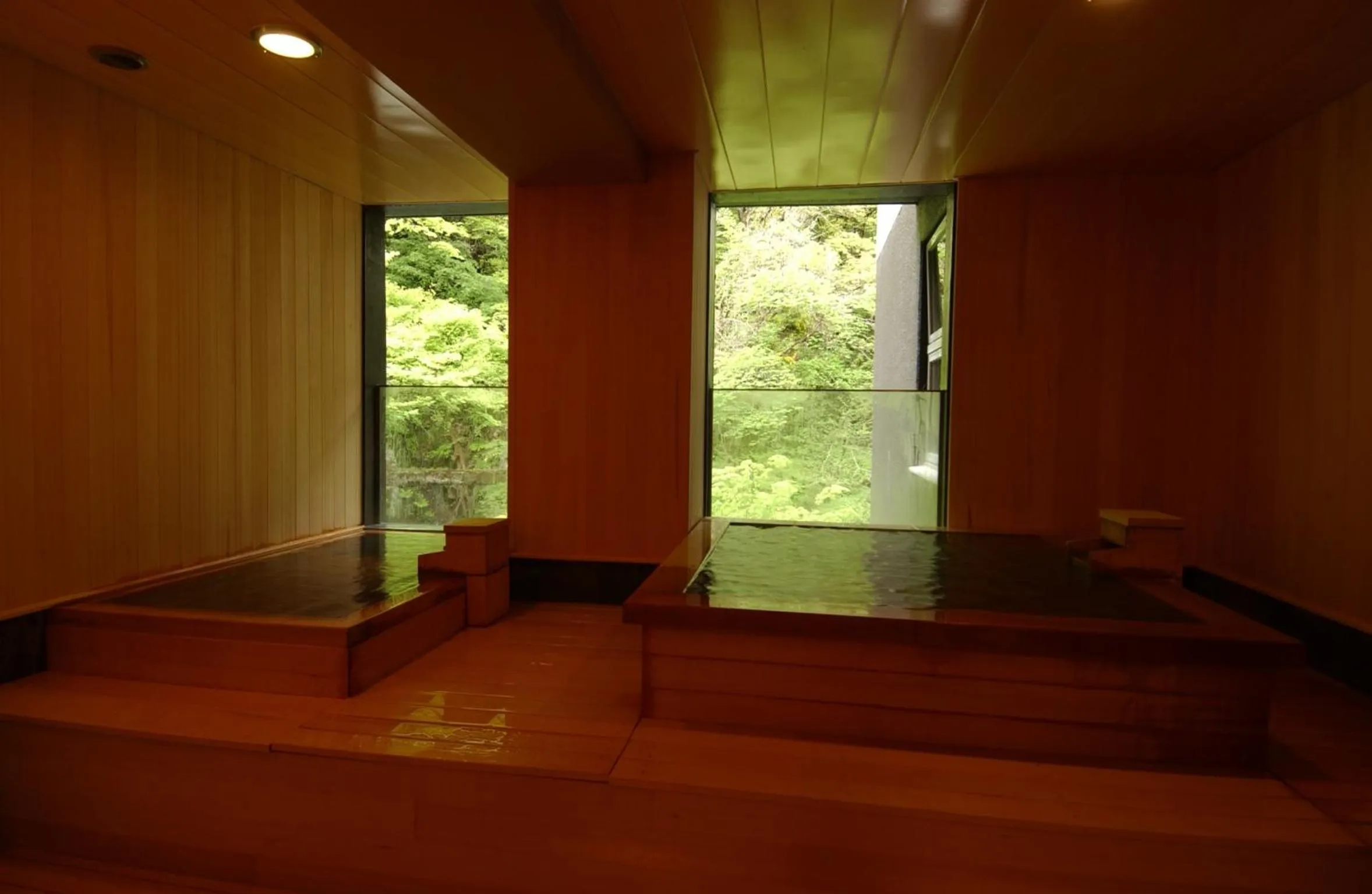 Hot Spring Bath in Harataki