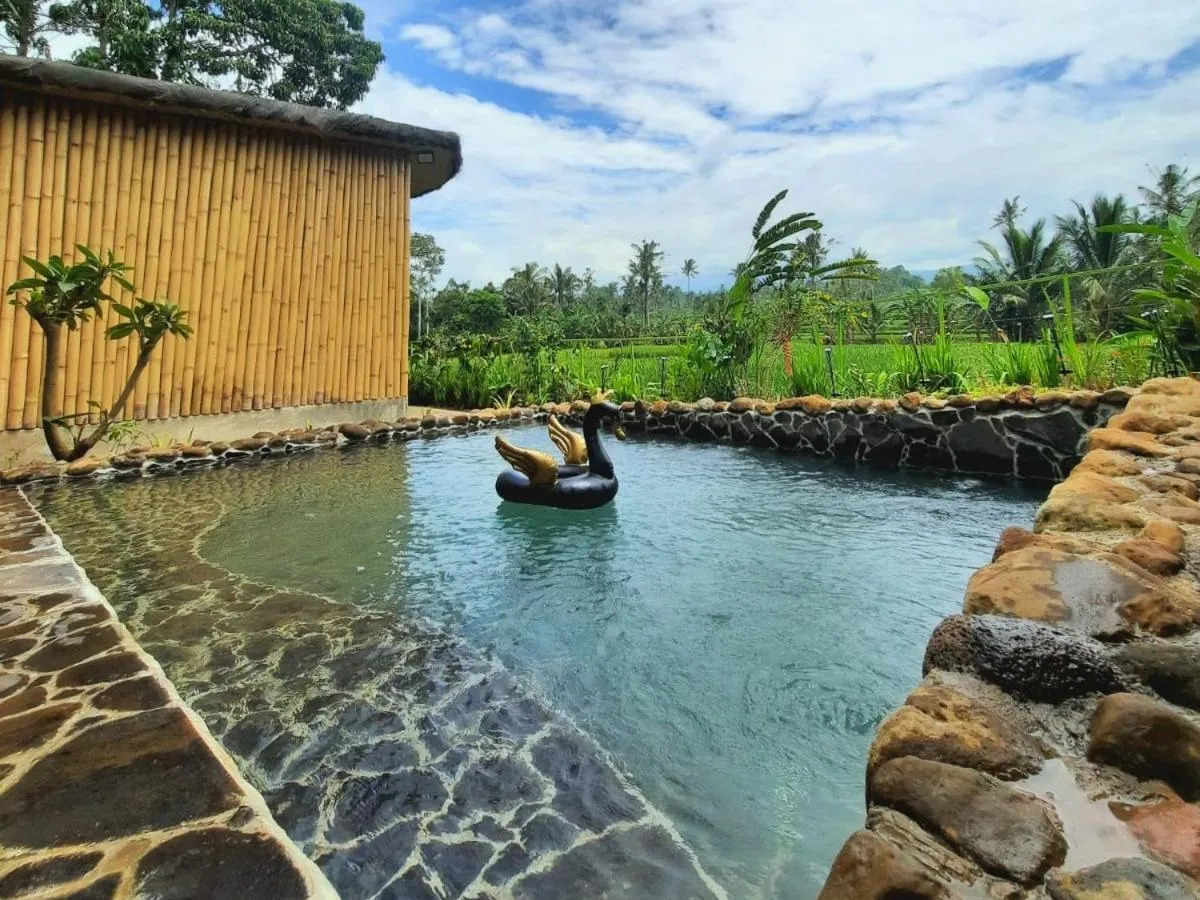 Sawah Ijen