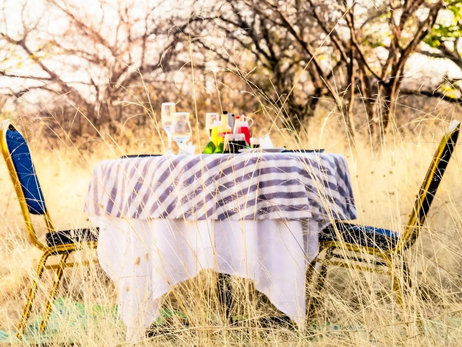 Nearby landmark in Abenab Lodge & Tours cc