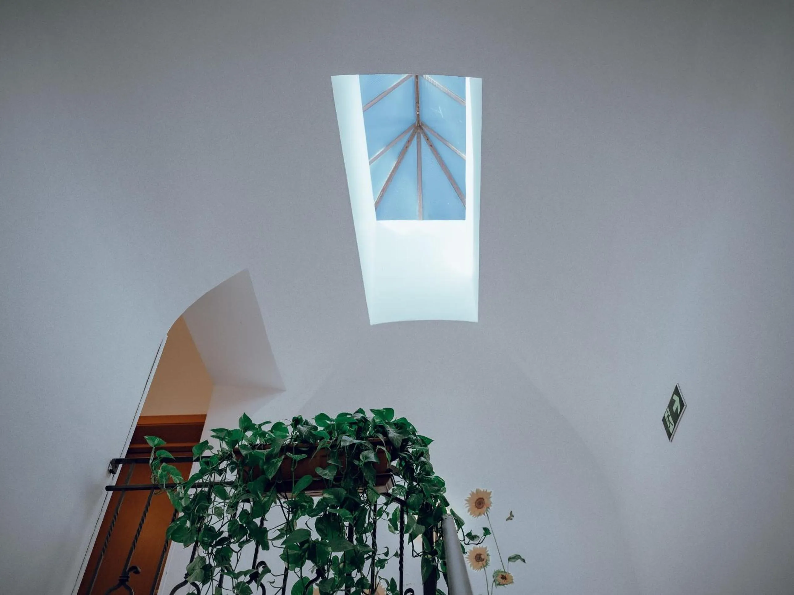 Property building in Hotel Francesco