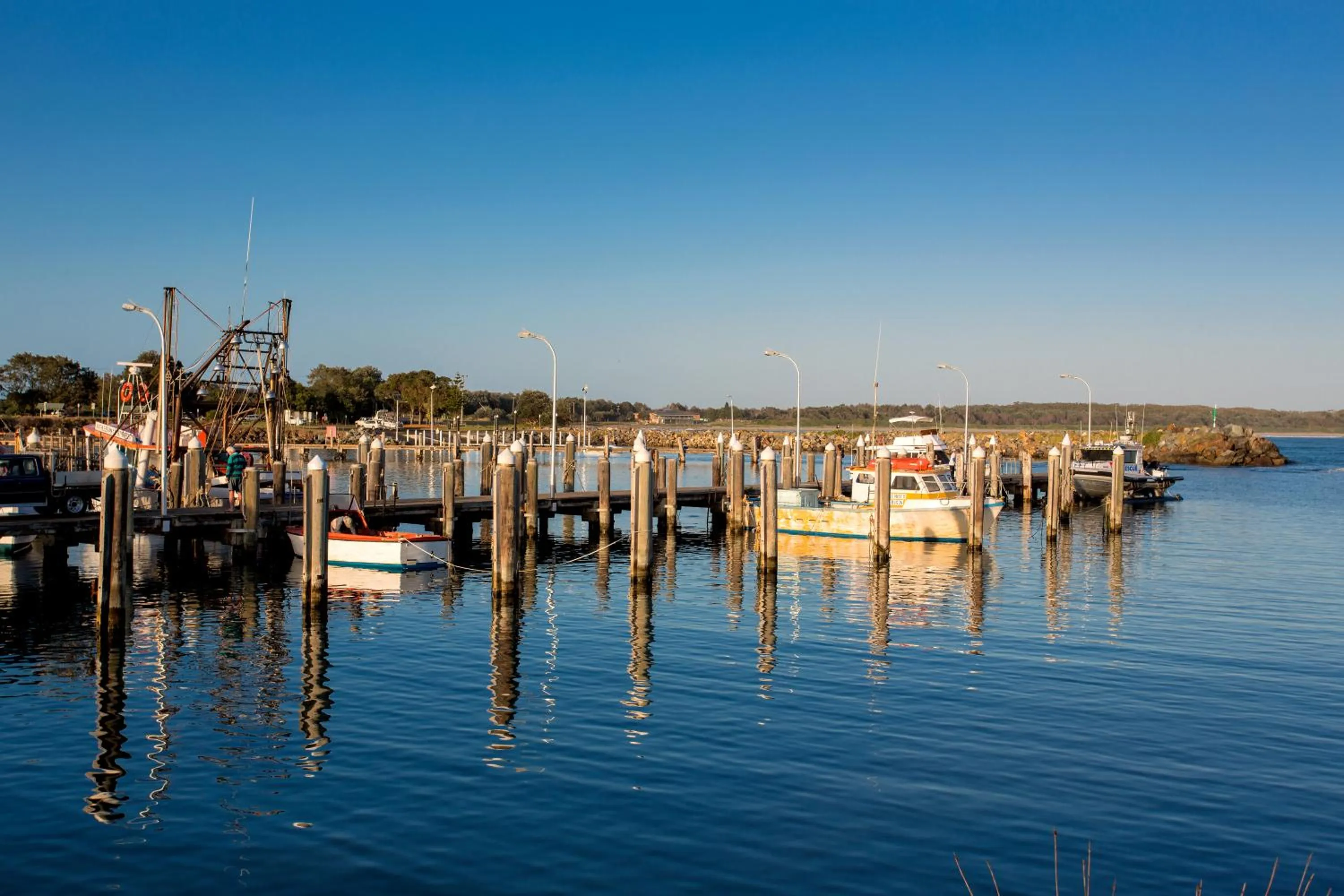 Natural landscape in Discovery Parks - Harrington