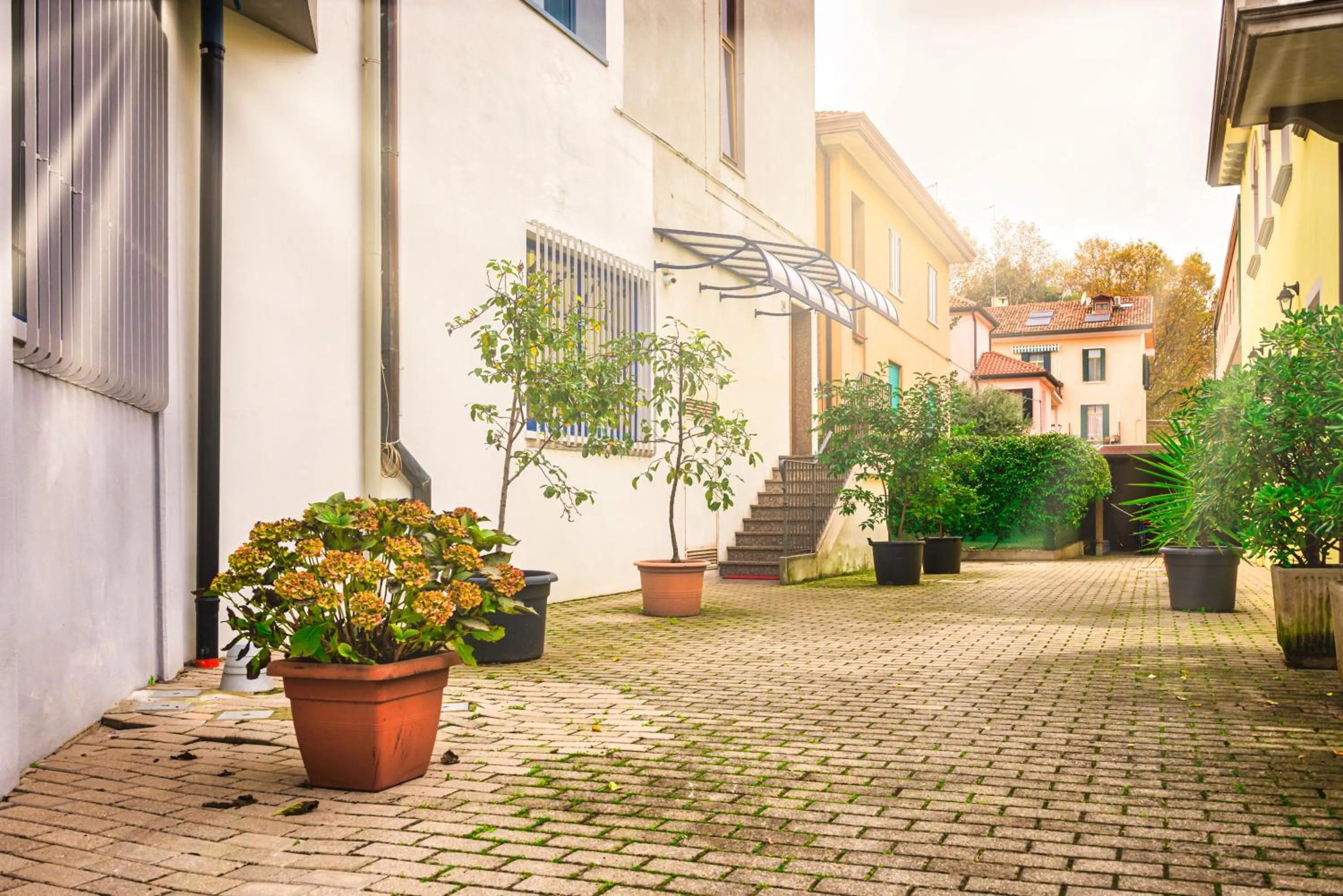 Garden in Marconi House