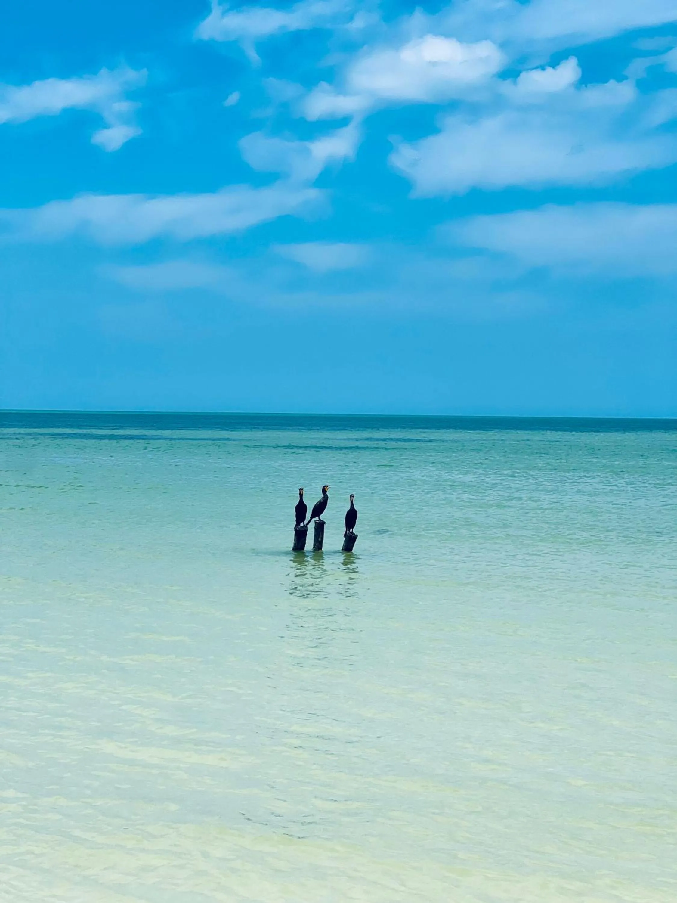 Natural landscape in Casa Tekio Holbox By Kin Studios