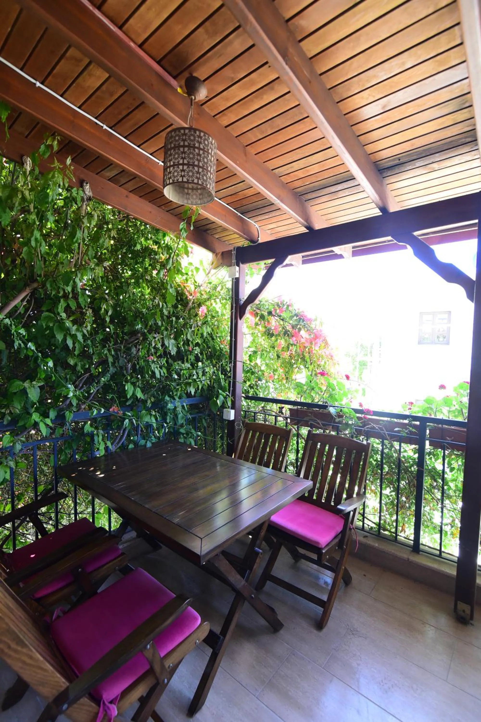 Balcony/Terrace in Eleni (L&E) Pansiyon